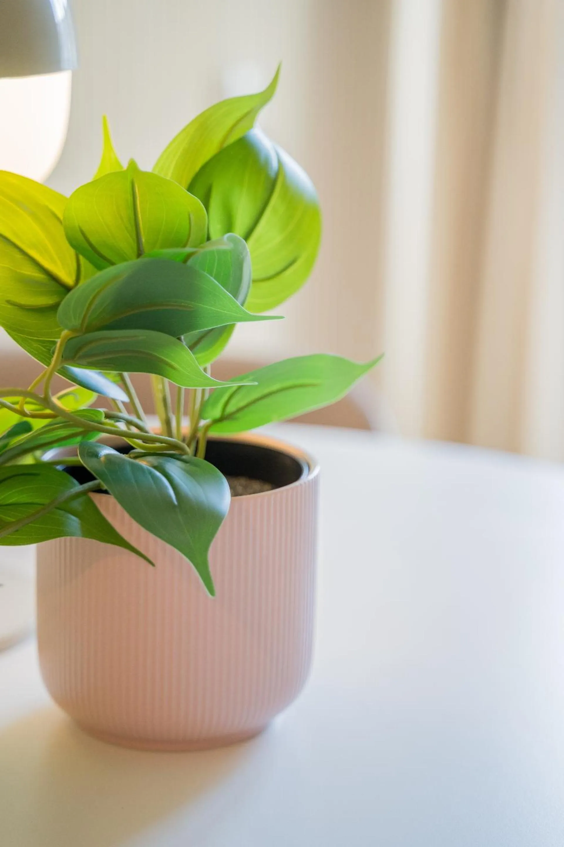 Other in Le Gabriel - STRASBOURG