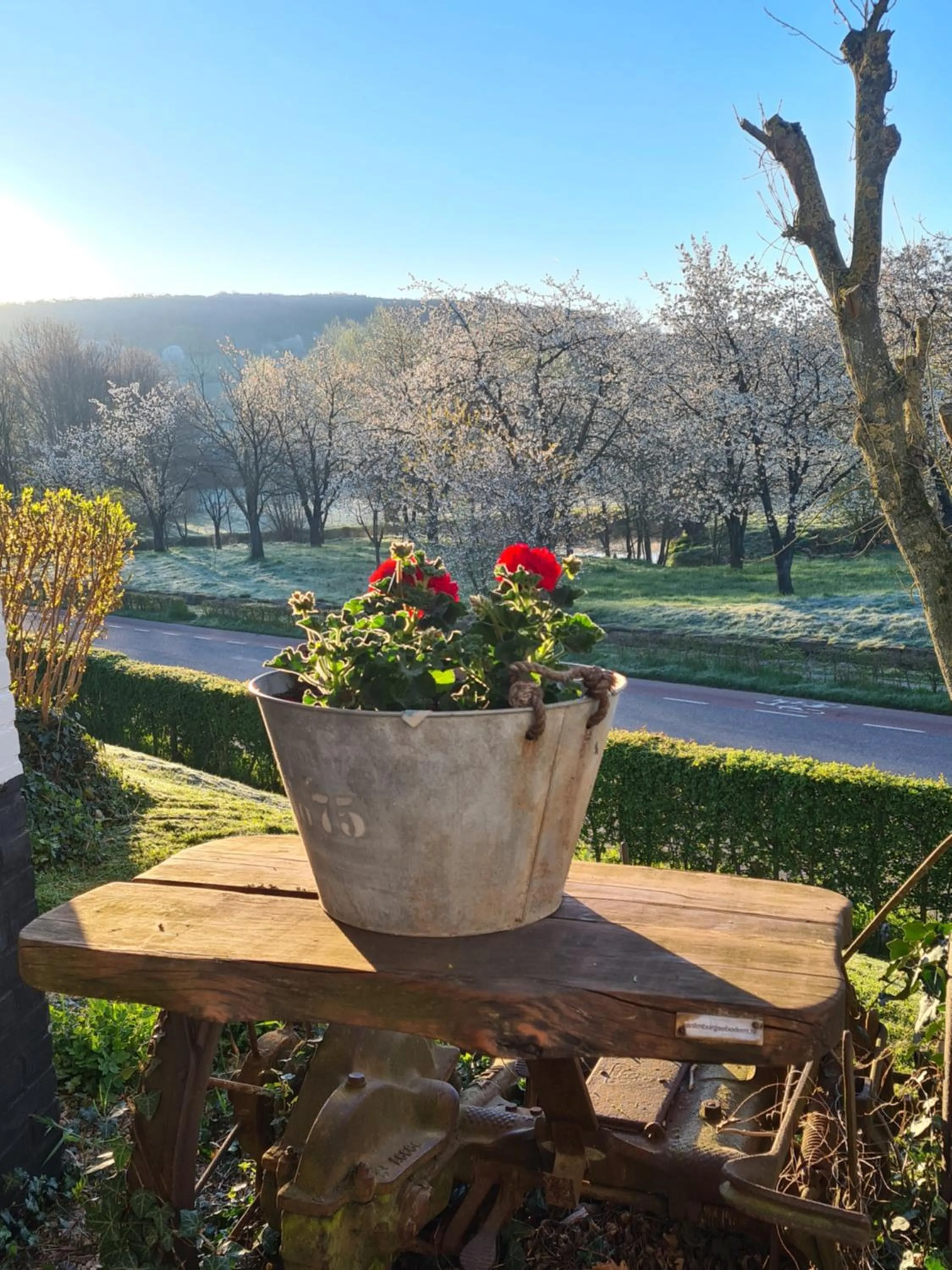 Hotel,Herberg & Appartementen de Smidse