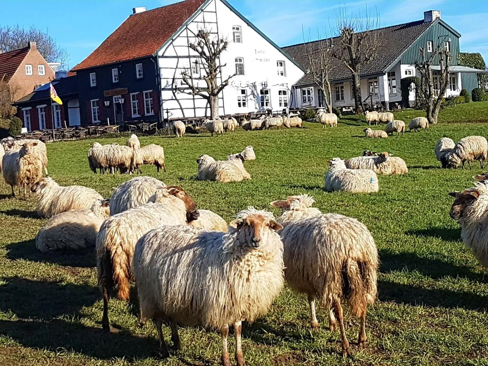 Hotel,Herberg & Appartementen de Smidse