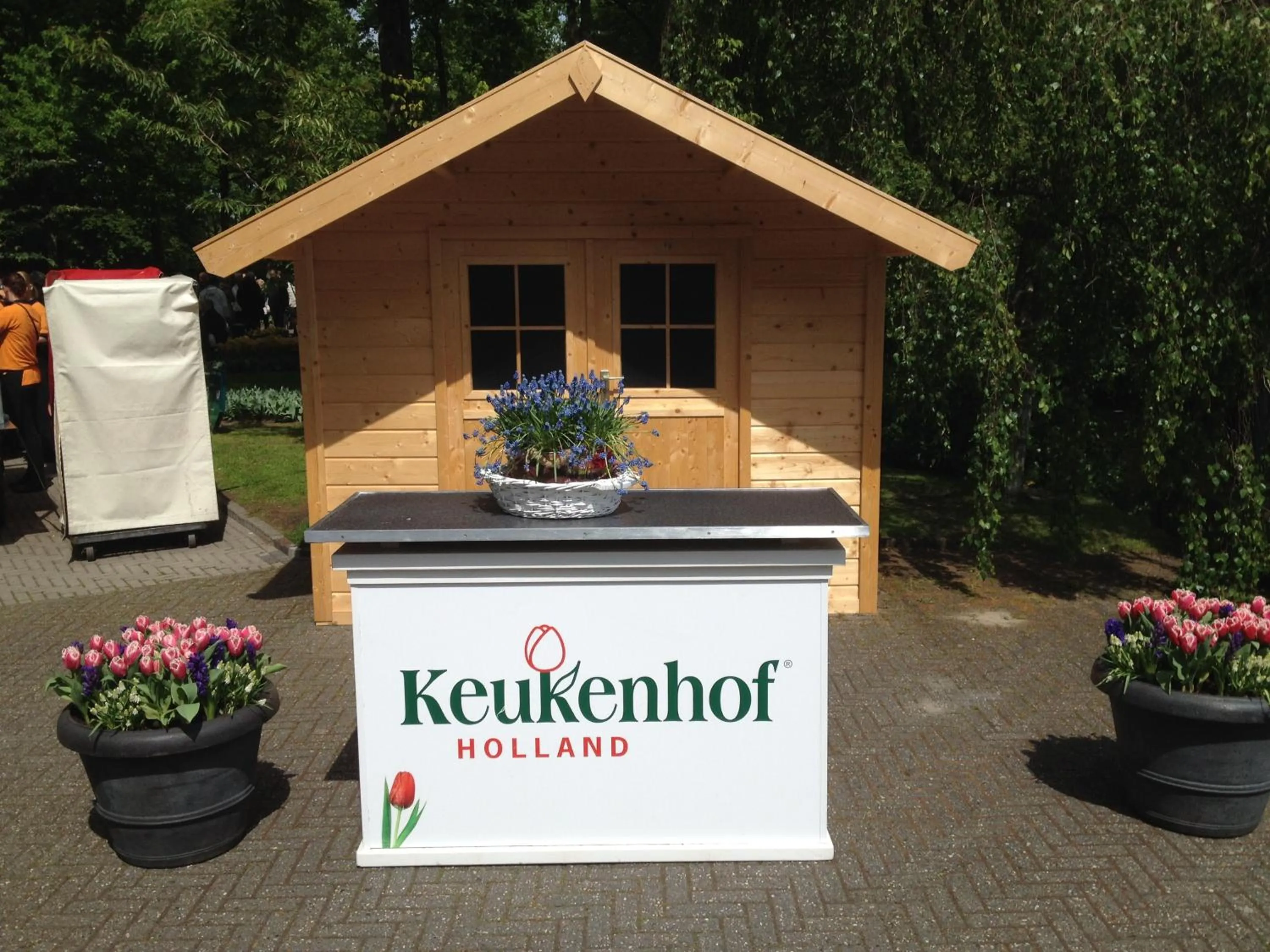 Area and facilities in Bed & Breakfast De Vier Seizoenen