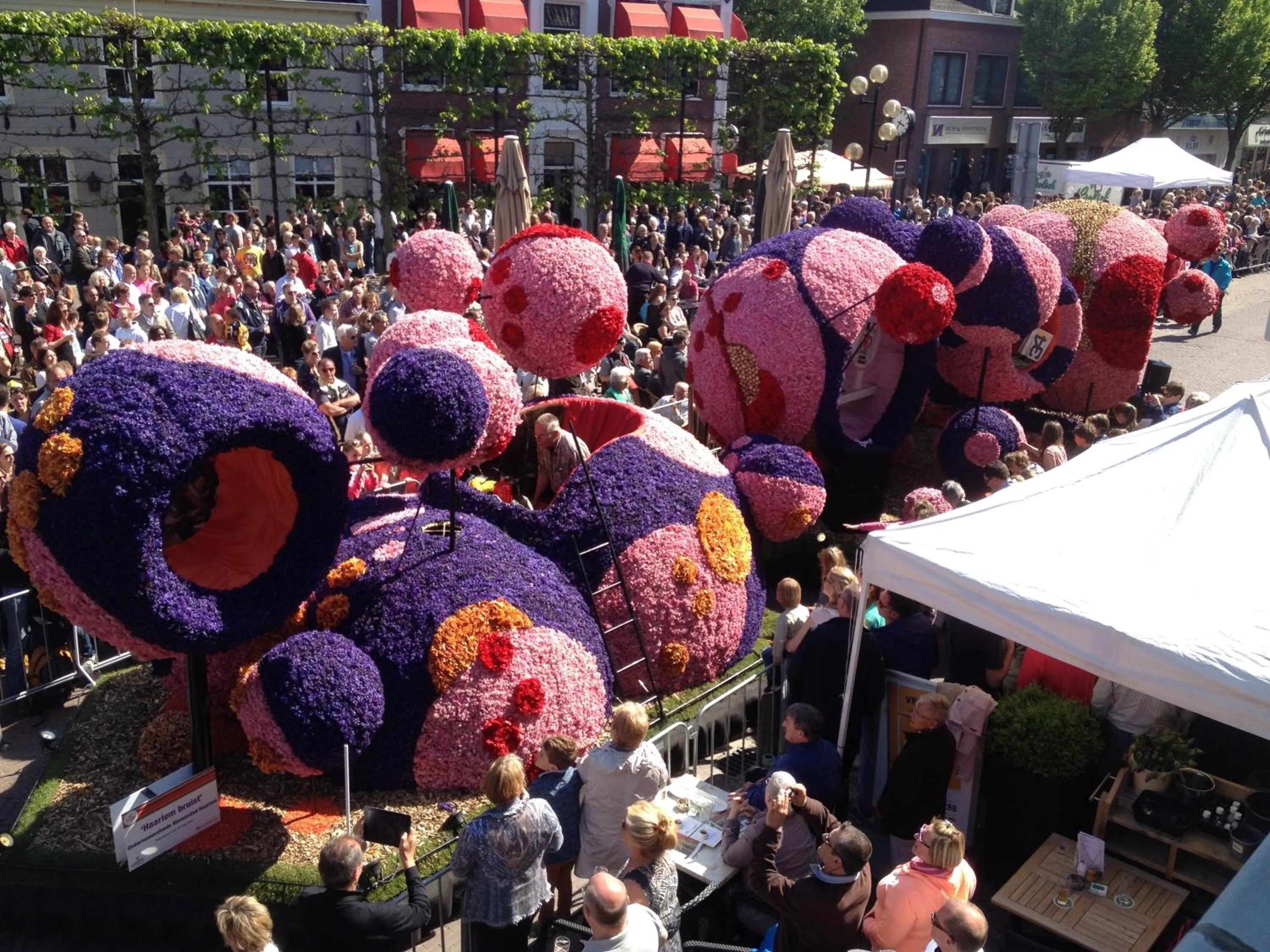 View (from property/room) in Bed & Breakfast De Vier Seizoenen