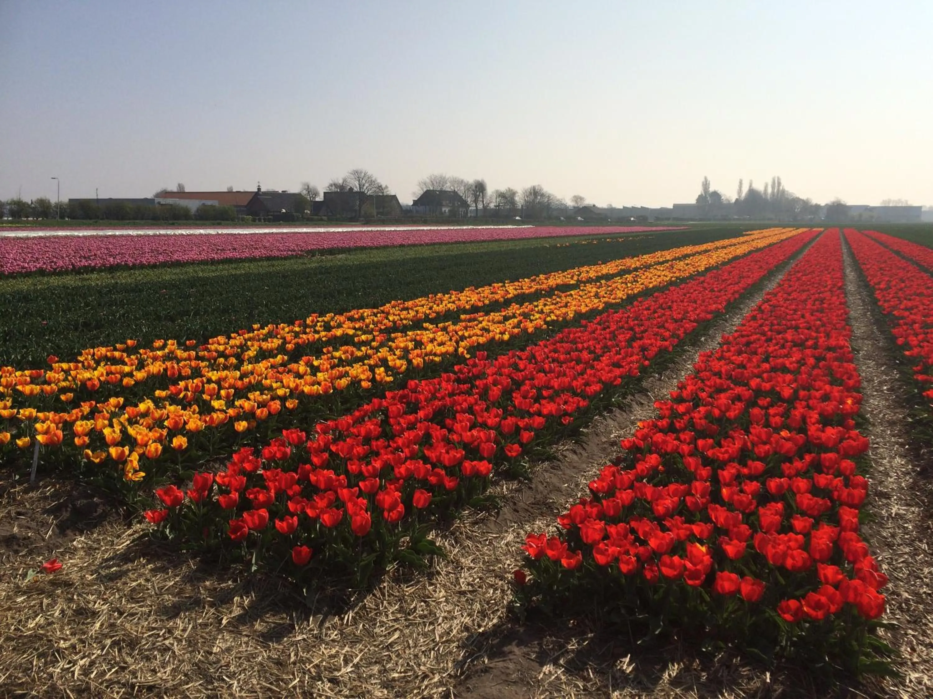 Spring in Bed & Breakfast De Vier Seizoenen