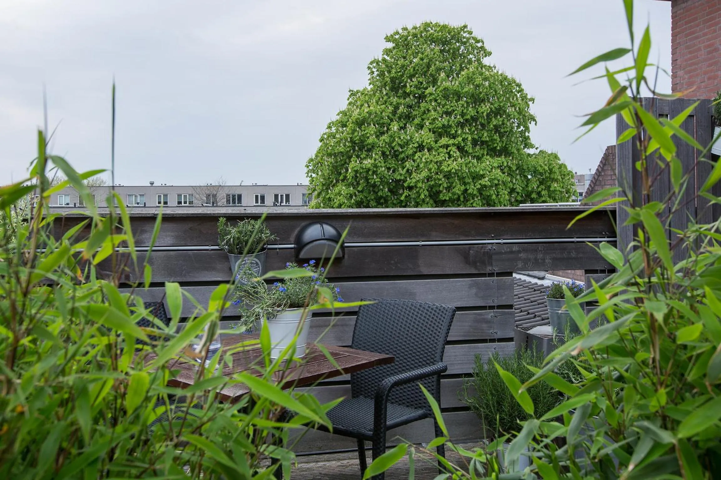 Balcony/Terrace in Bed & Breakfast De Vier Seizoenen