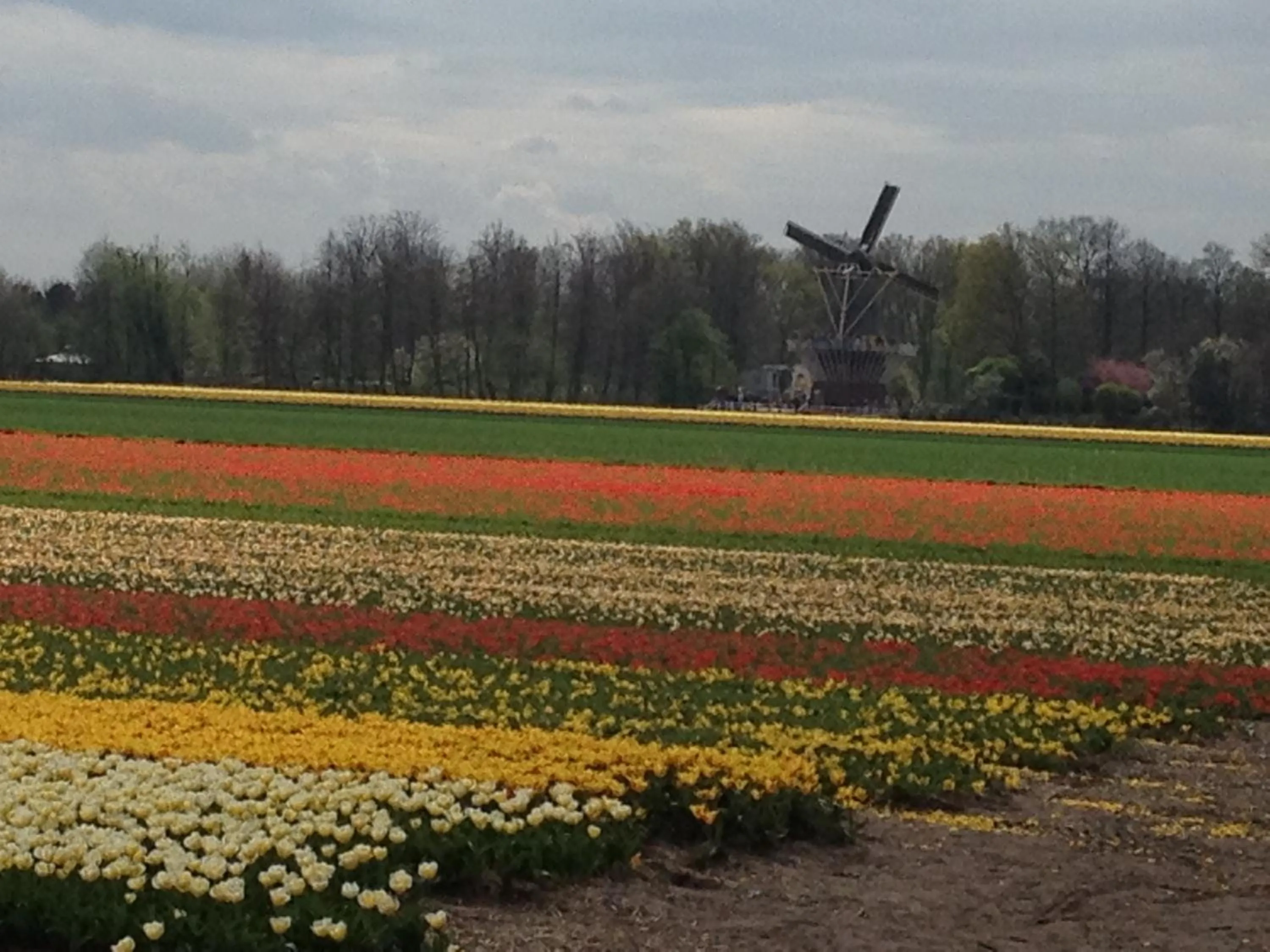 Area and facilities in Bed & Breakfast De Vier Seizoenen