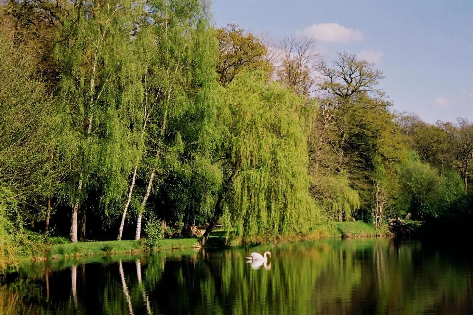 Natural landscape in Cit'Hôtel le Relais Boisniard