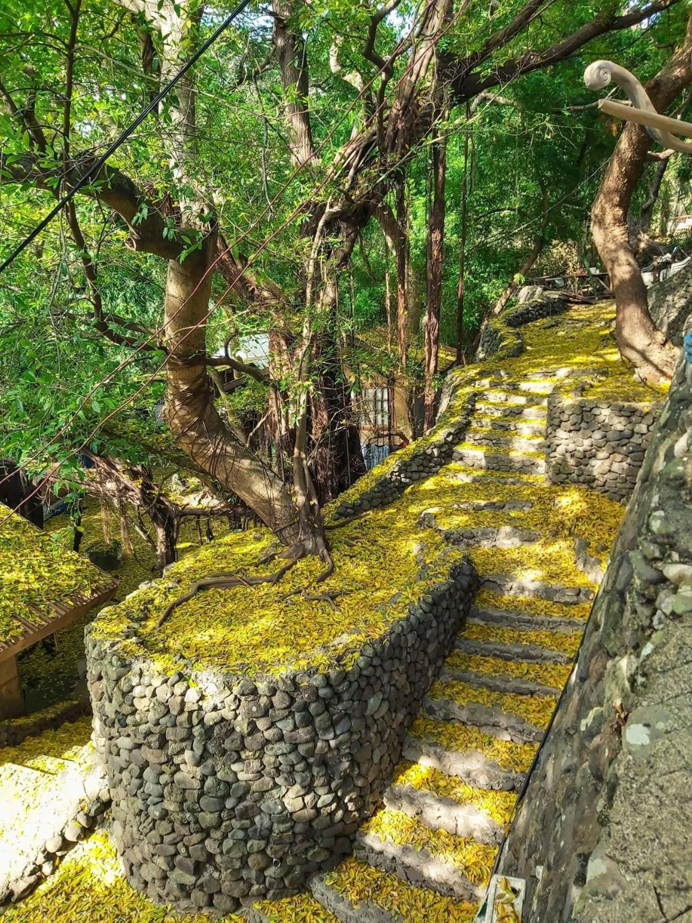 Day in Aquaventure Reef Club