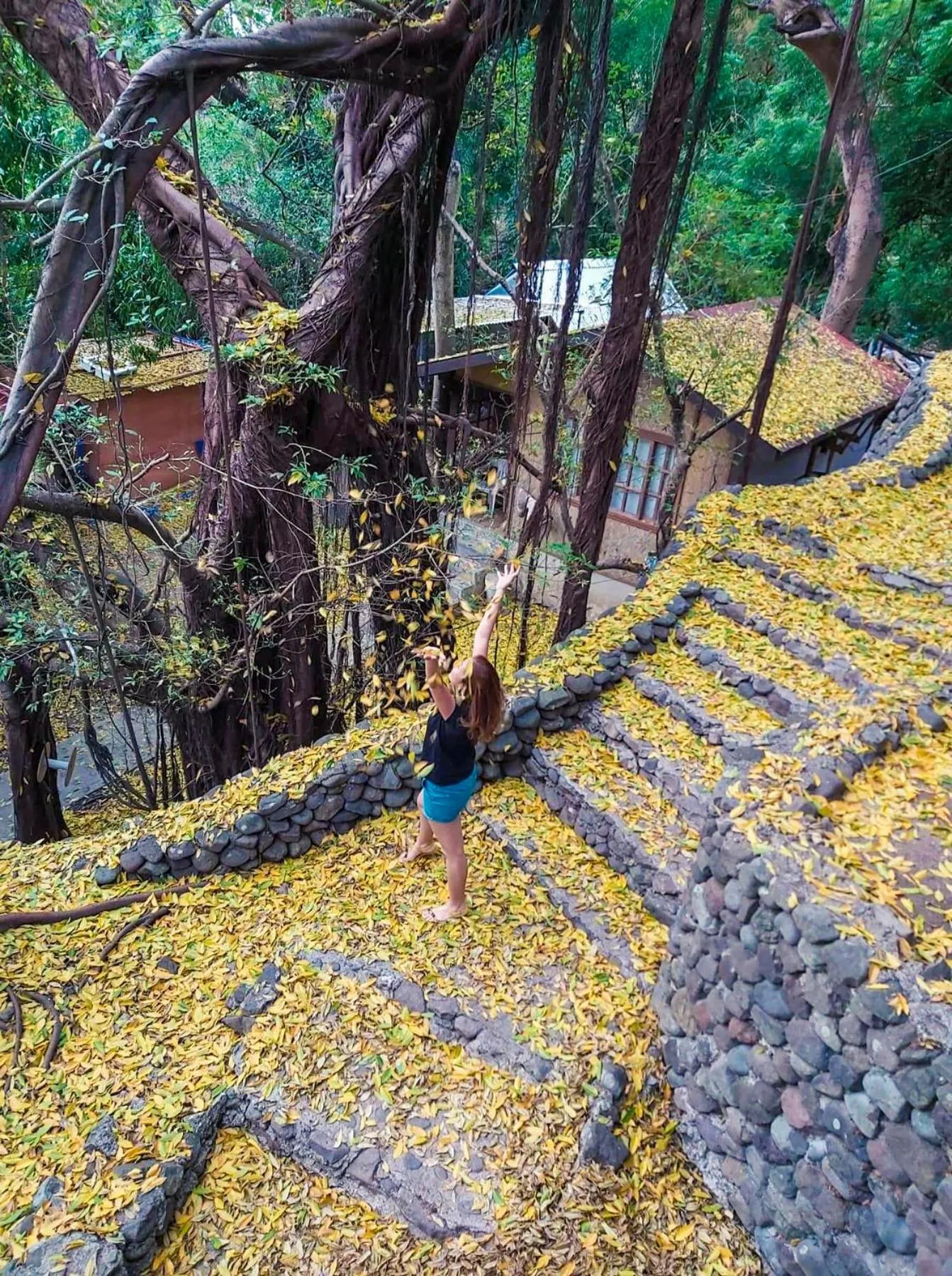 Natural landscape in Aquaventure Reef Club