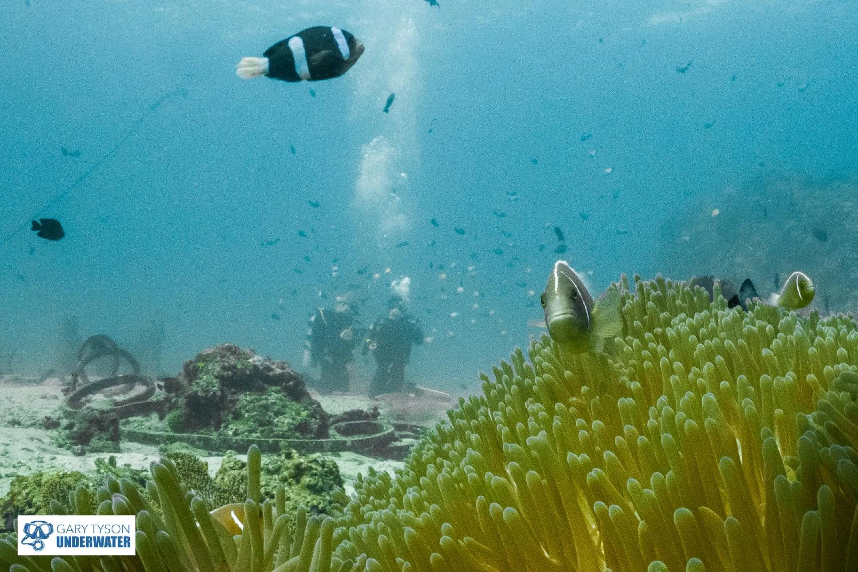 Diving in Aquaventure Reef Club