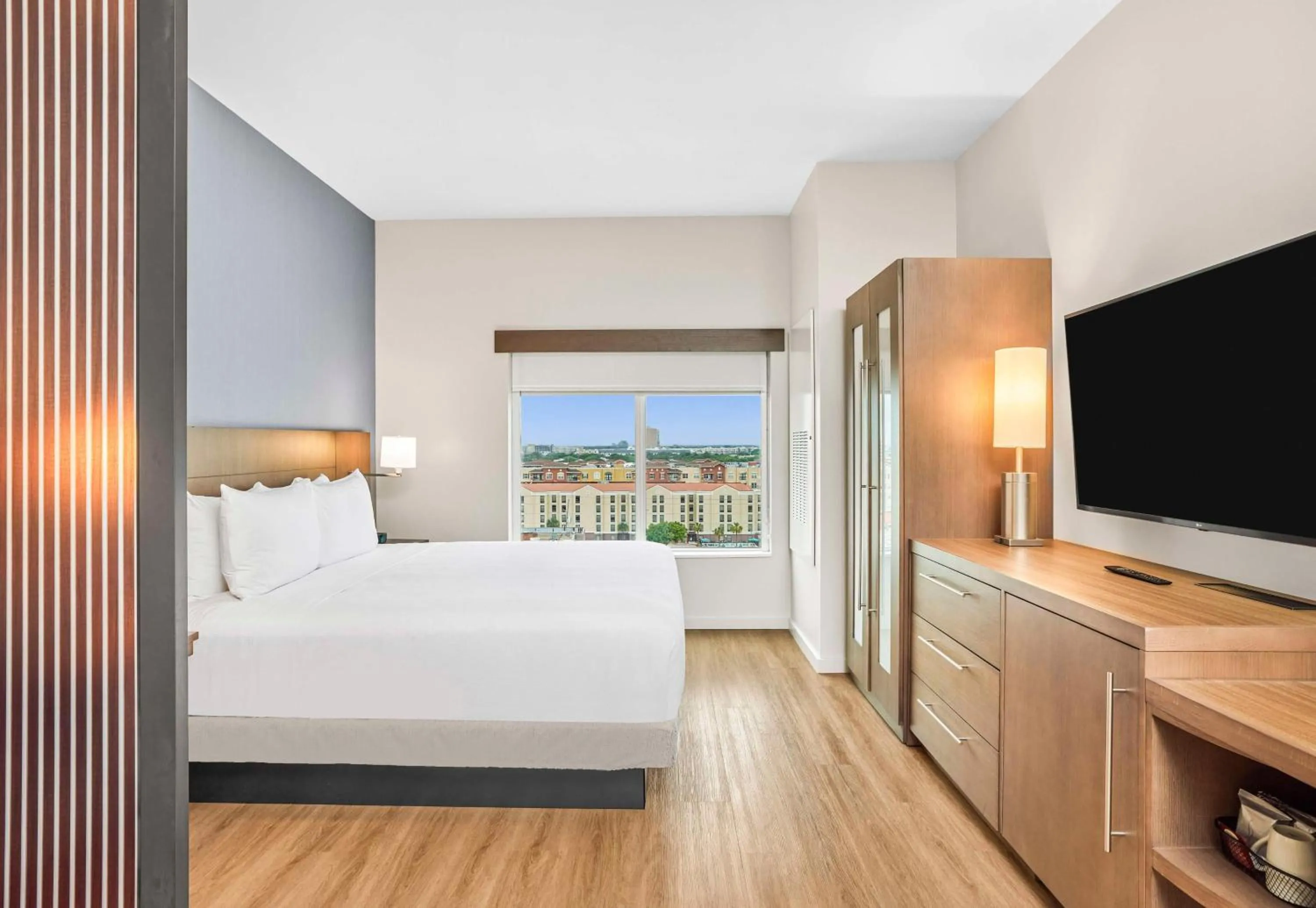 King Room with Sofa Bed and Roll-In Shower - Disability Access in Hyatt Place Houston Medical Center