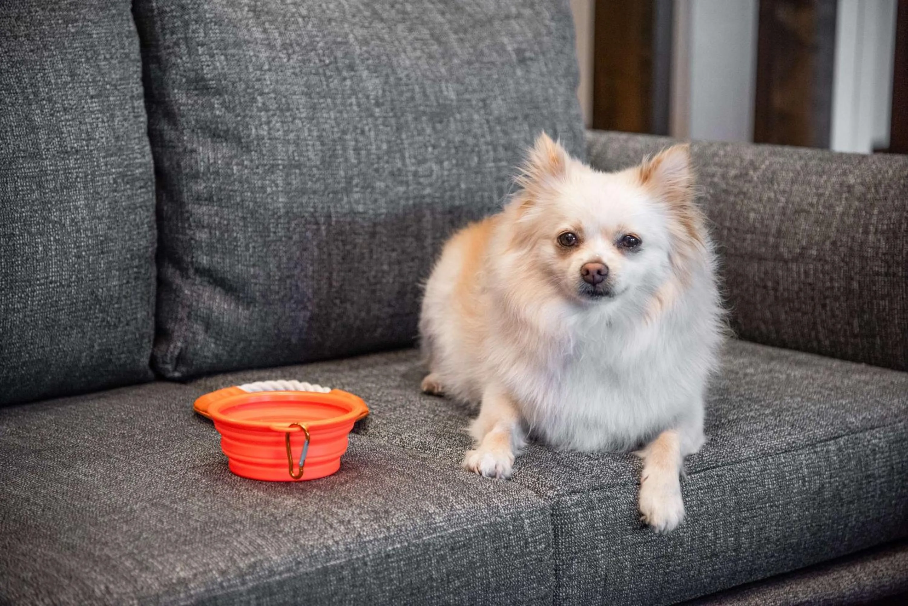 Lobby or reception in Hyatt Place Newark-Silicon Valley