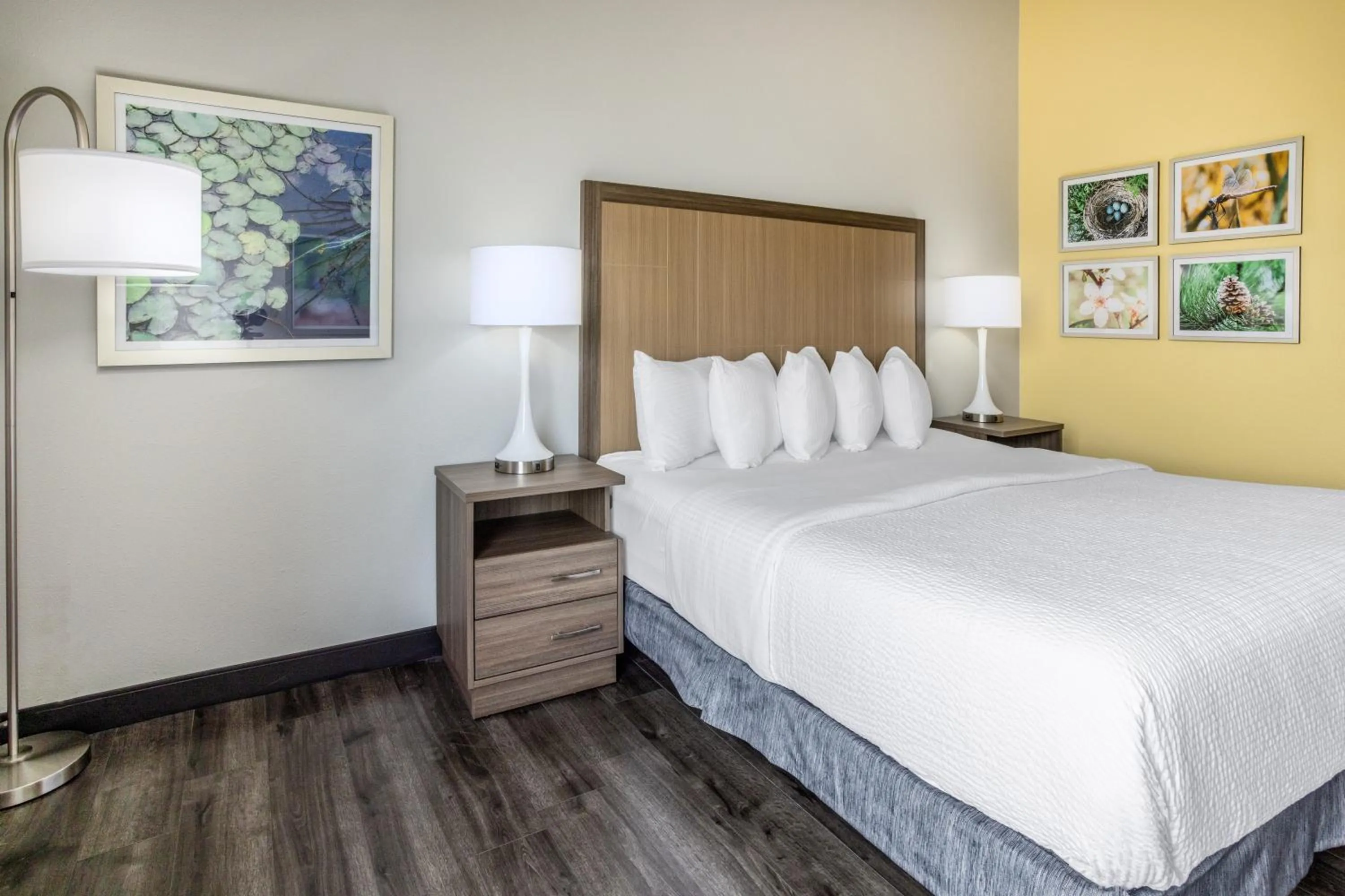 Bedroom, Bed in La Quinta Inn & Suites by Wyndham Valdosta