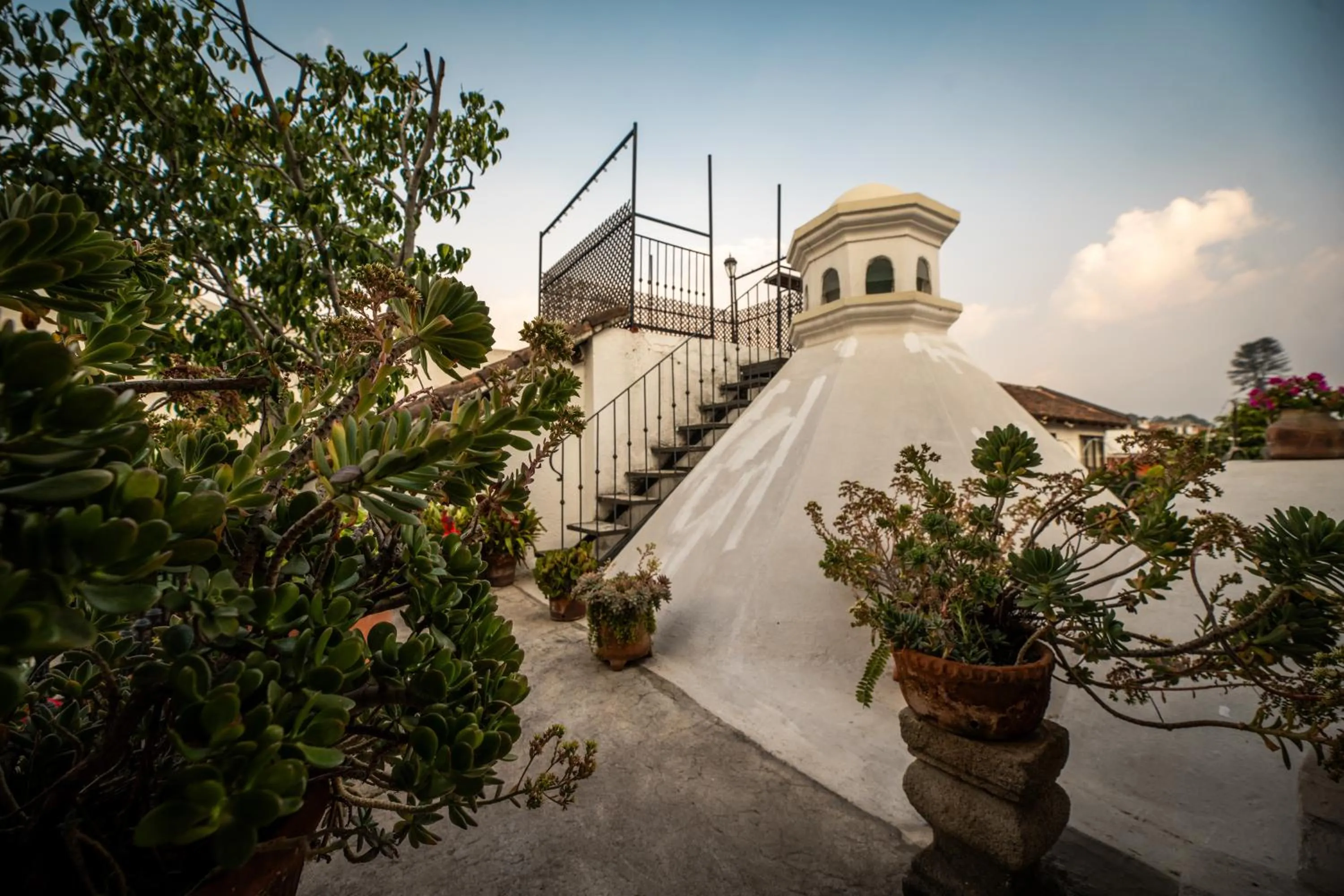 Garden view in Hotel La Villa Serena
