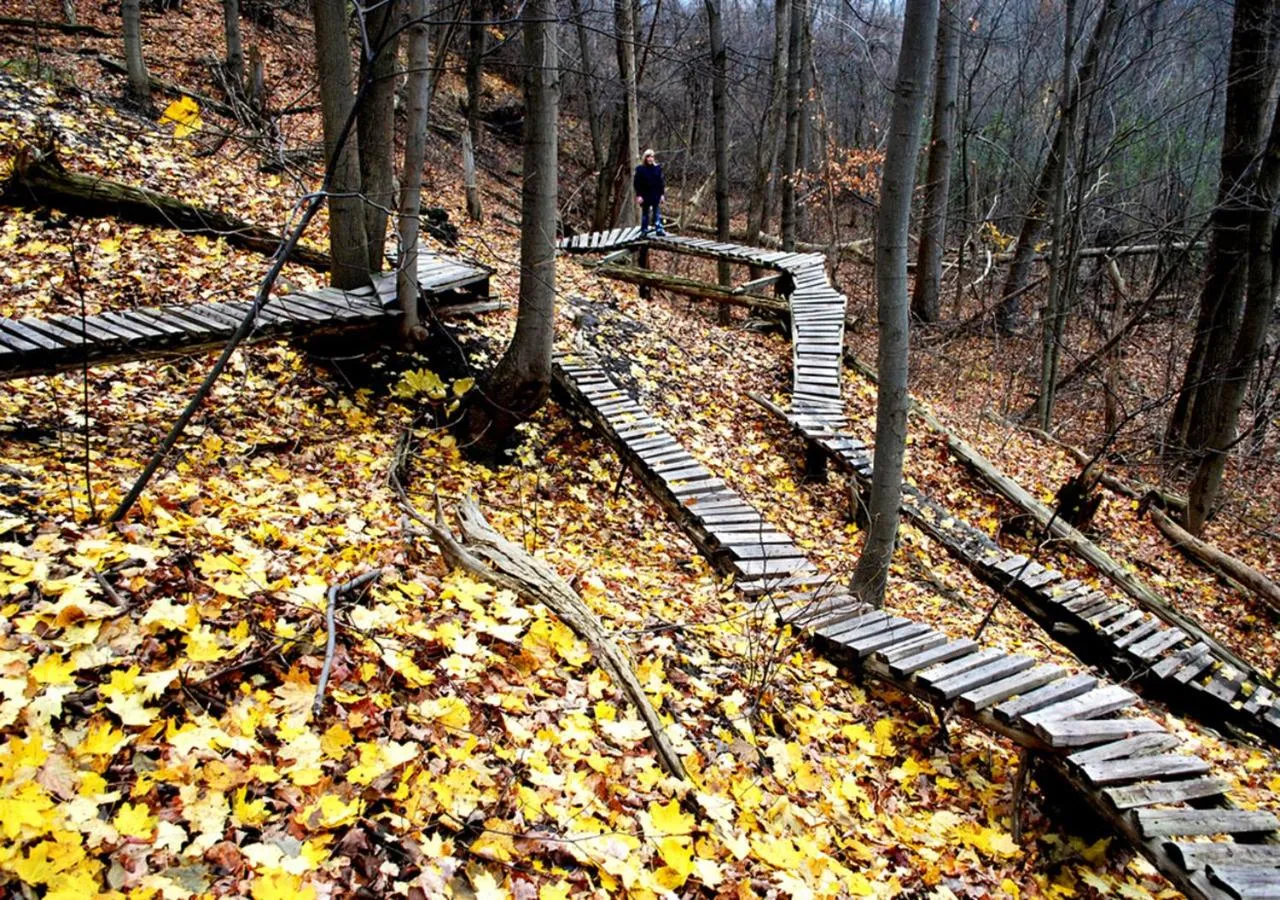 Toronto Bed & Breakfast - Free parking