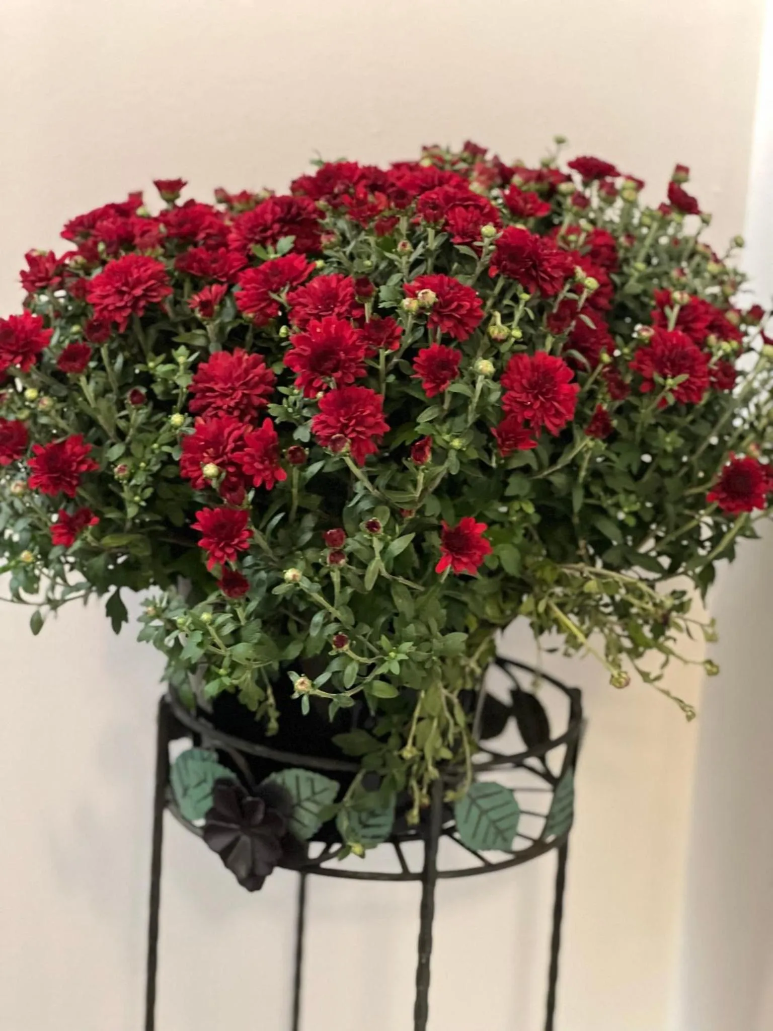 Toronto Bed & Breakfast - Free parking