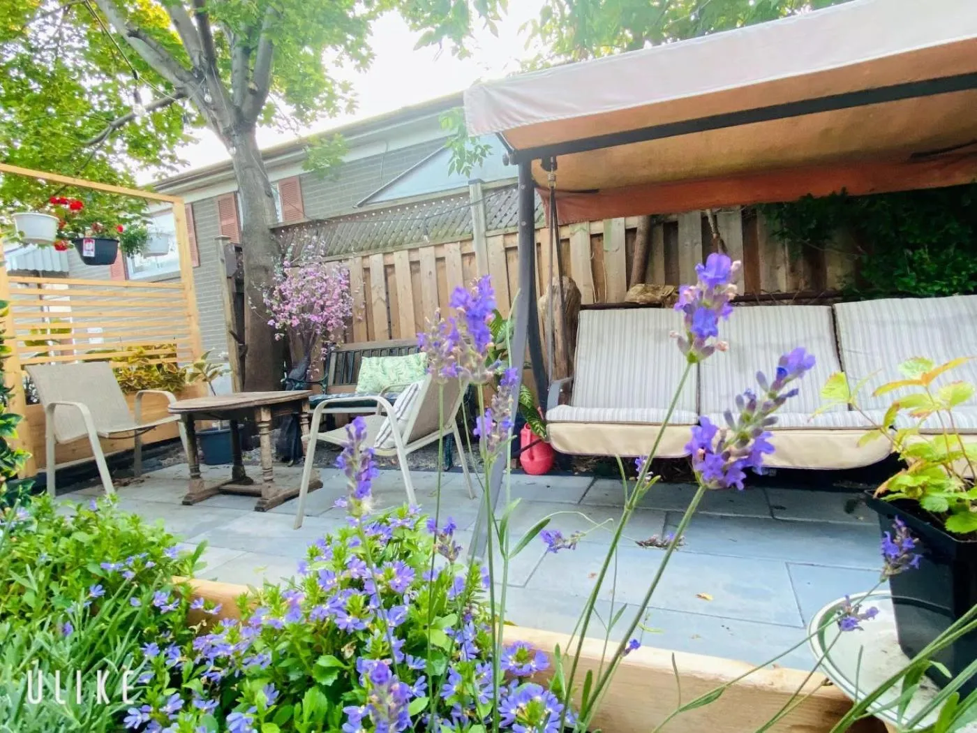 Toronto Bed & Breakfast - Free parking