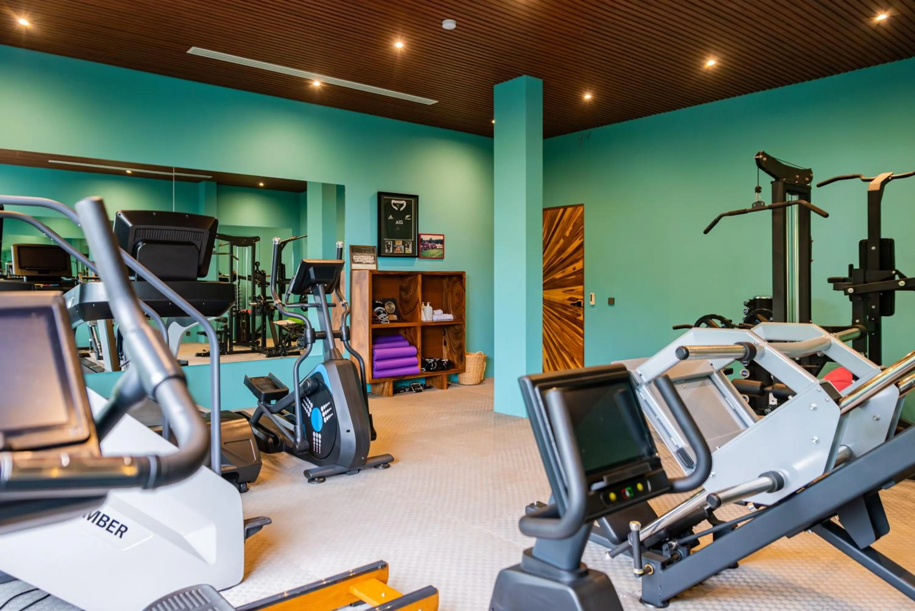Fitness centre/facilities in Ida B Domain Resort