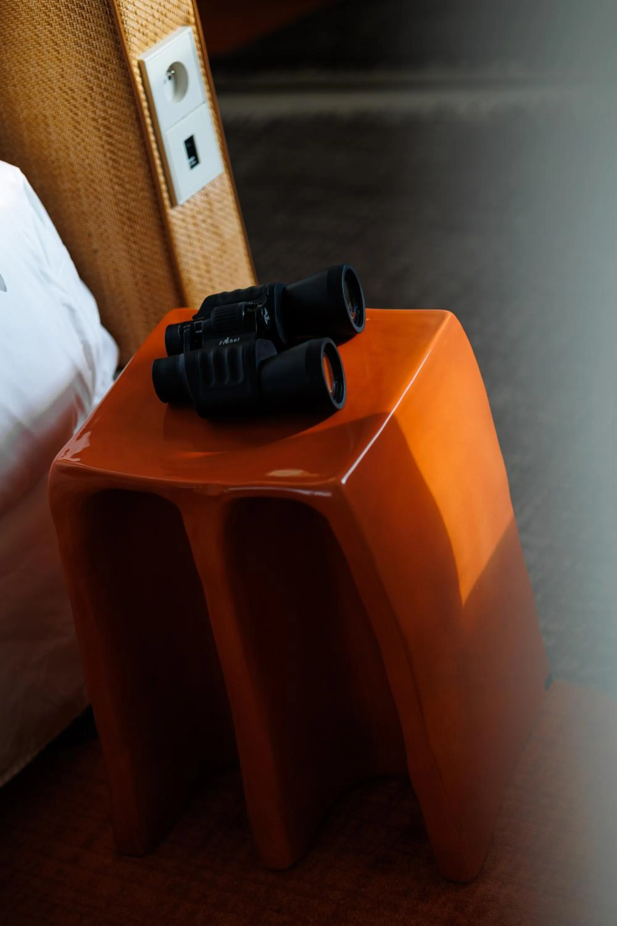 Decorative detail in Too Hotel & Spa Paris - MGallery Collection