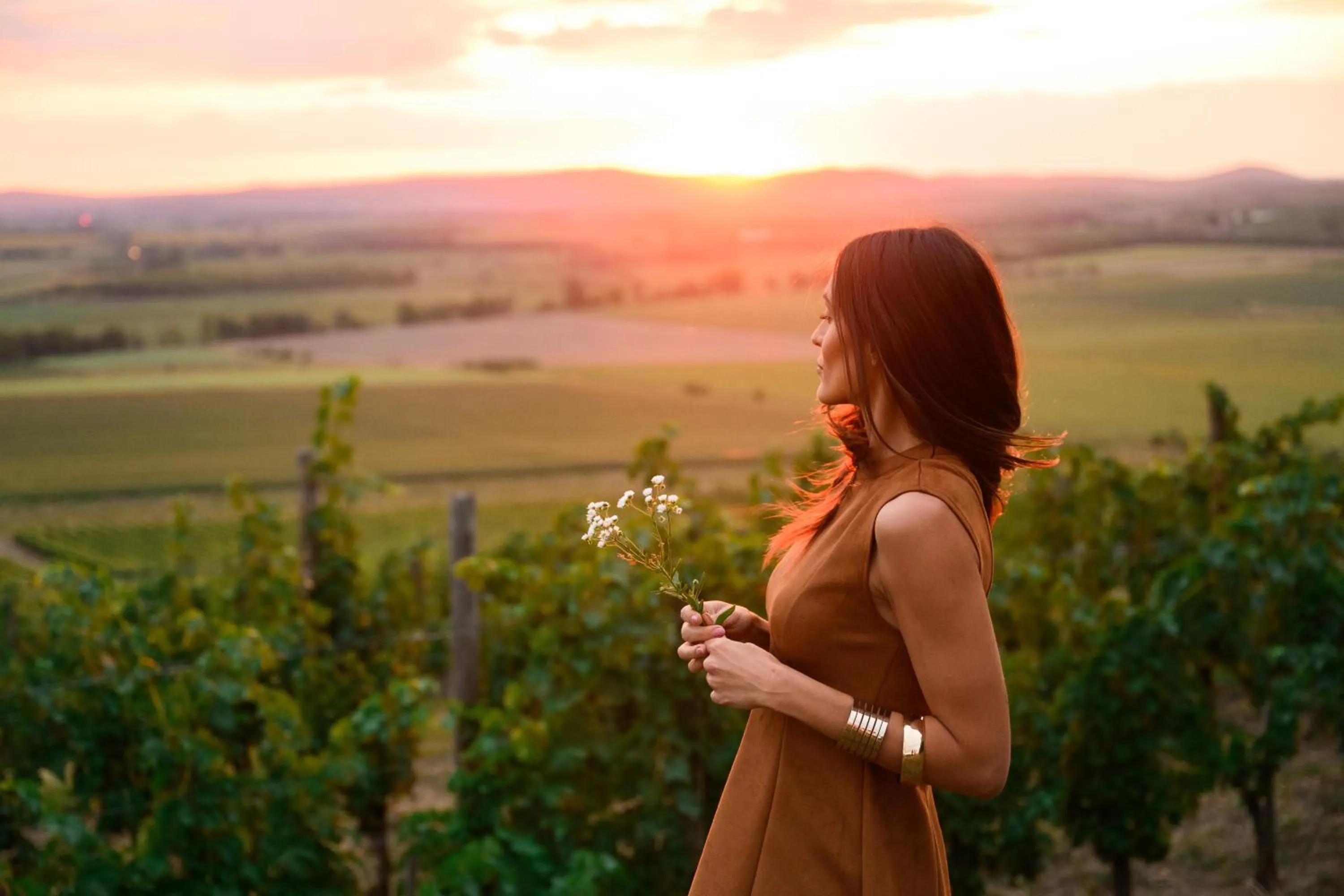 Neighbourhood in Minaro Hotel Tokaj - MGallery Collection