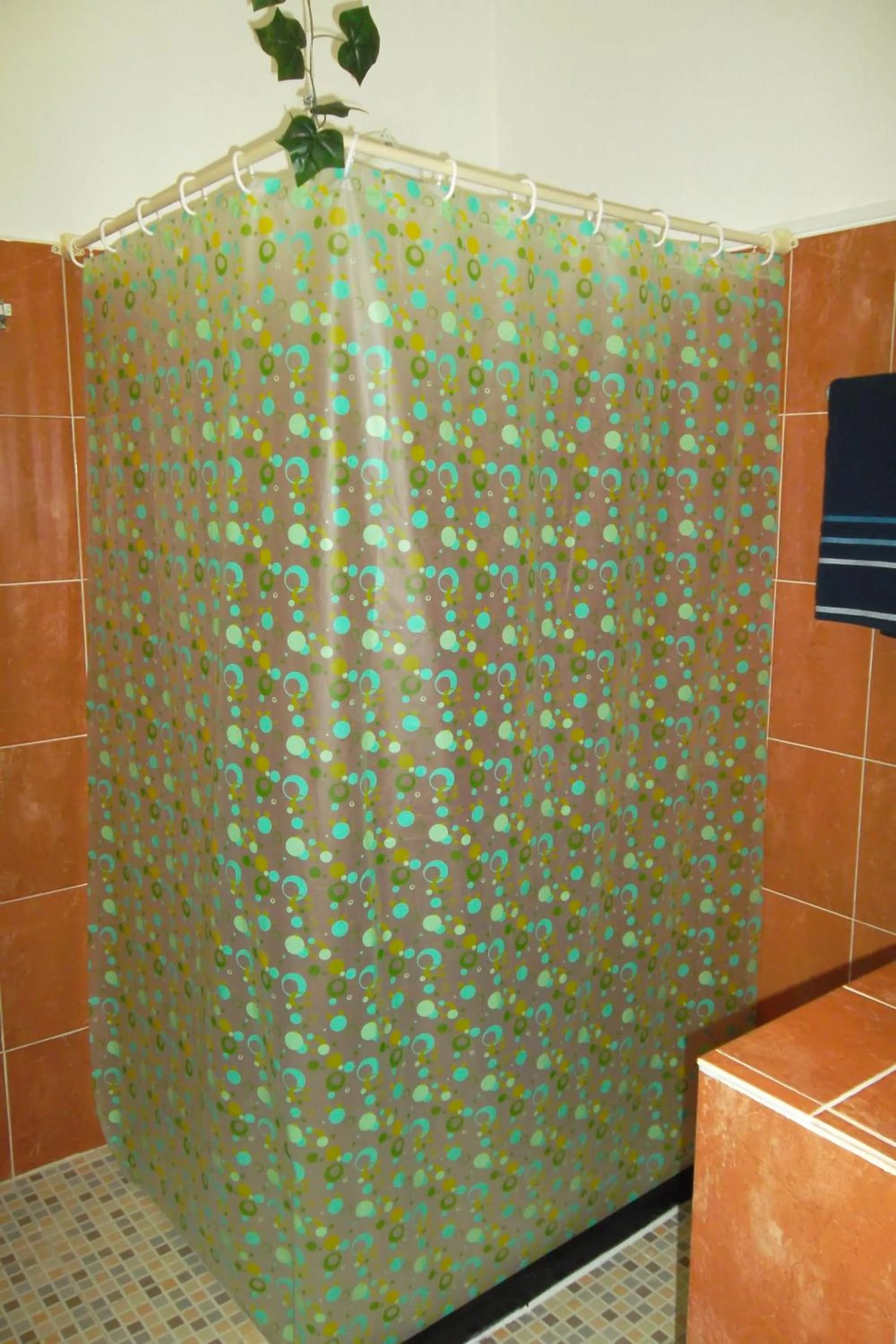 Shower in Appartamenti Melissa