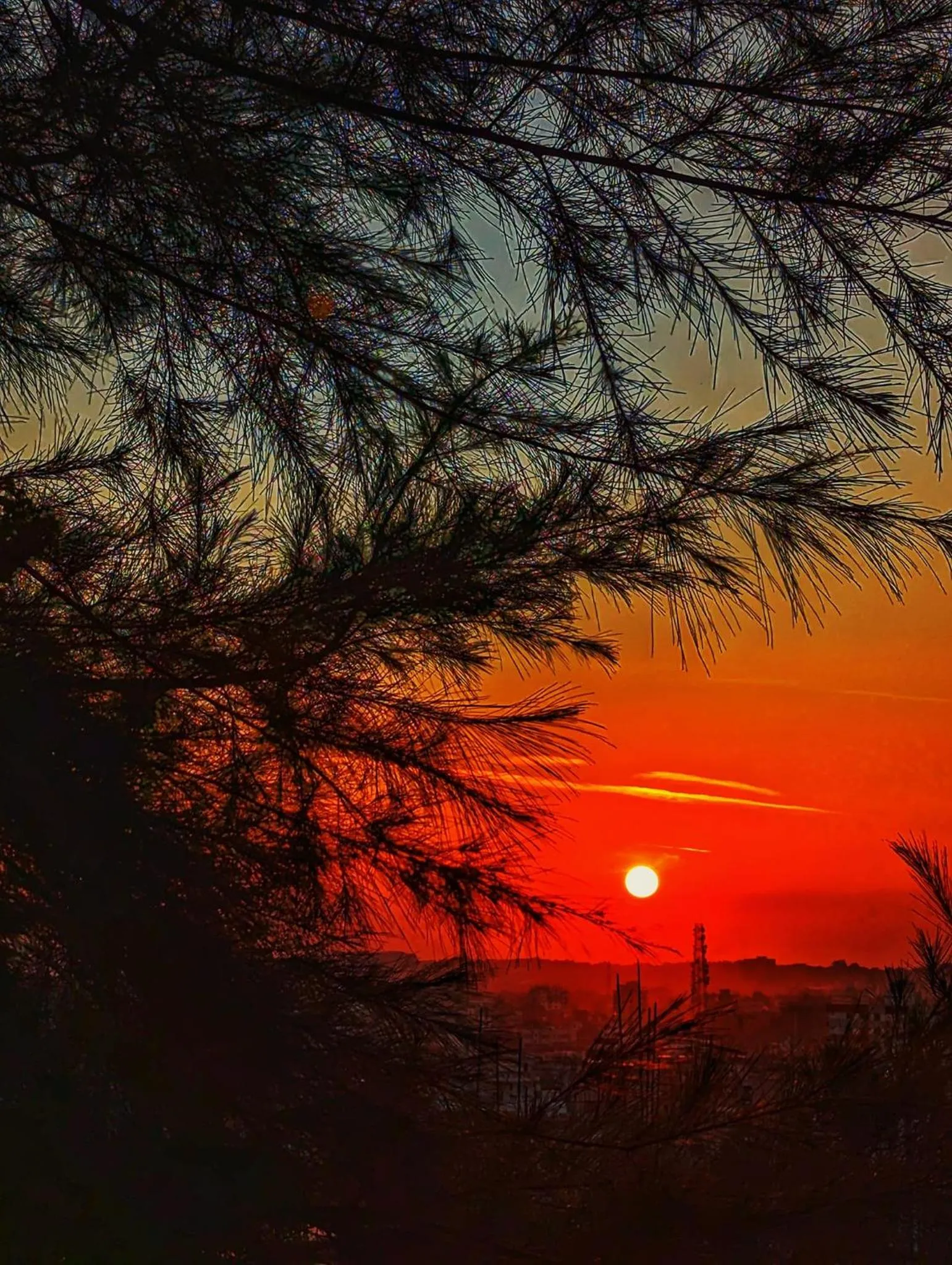 Balcony/Terrace in Hotel Elite Palace