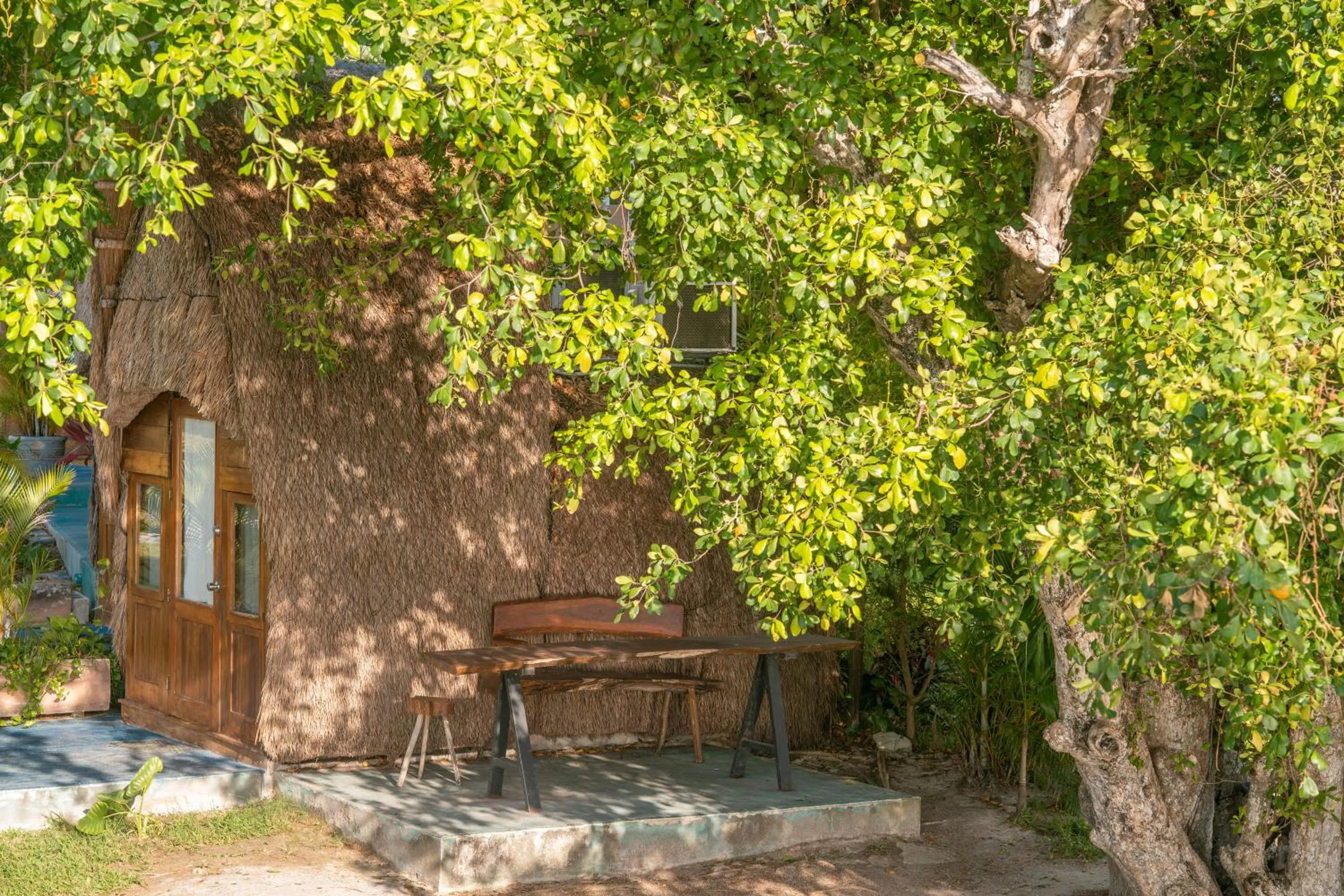 Garden in Pepos Xul-Ha