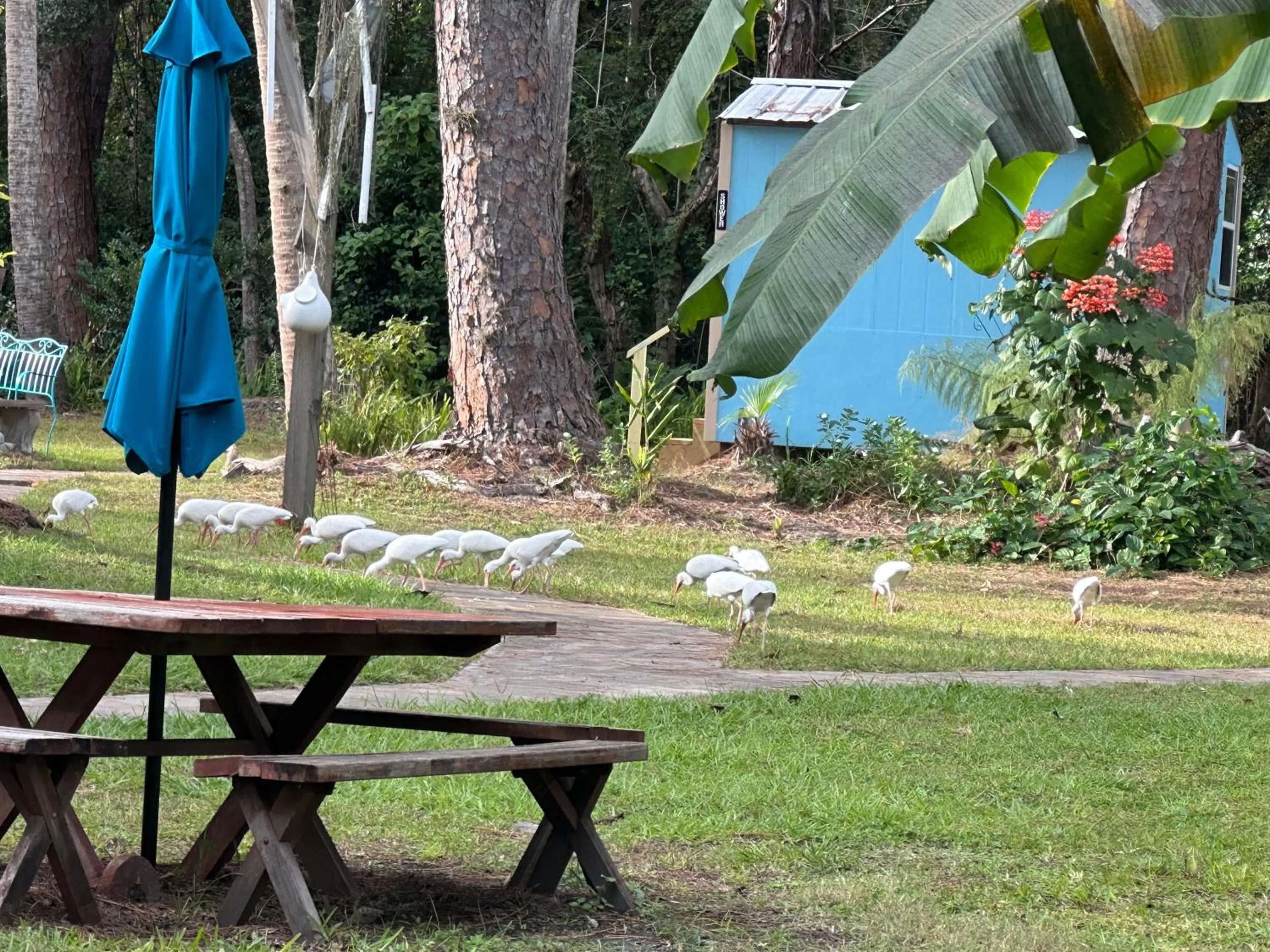 Nature Coast Inn & Cottages