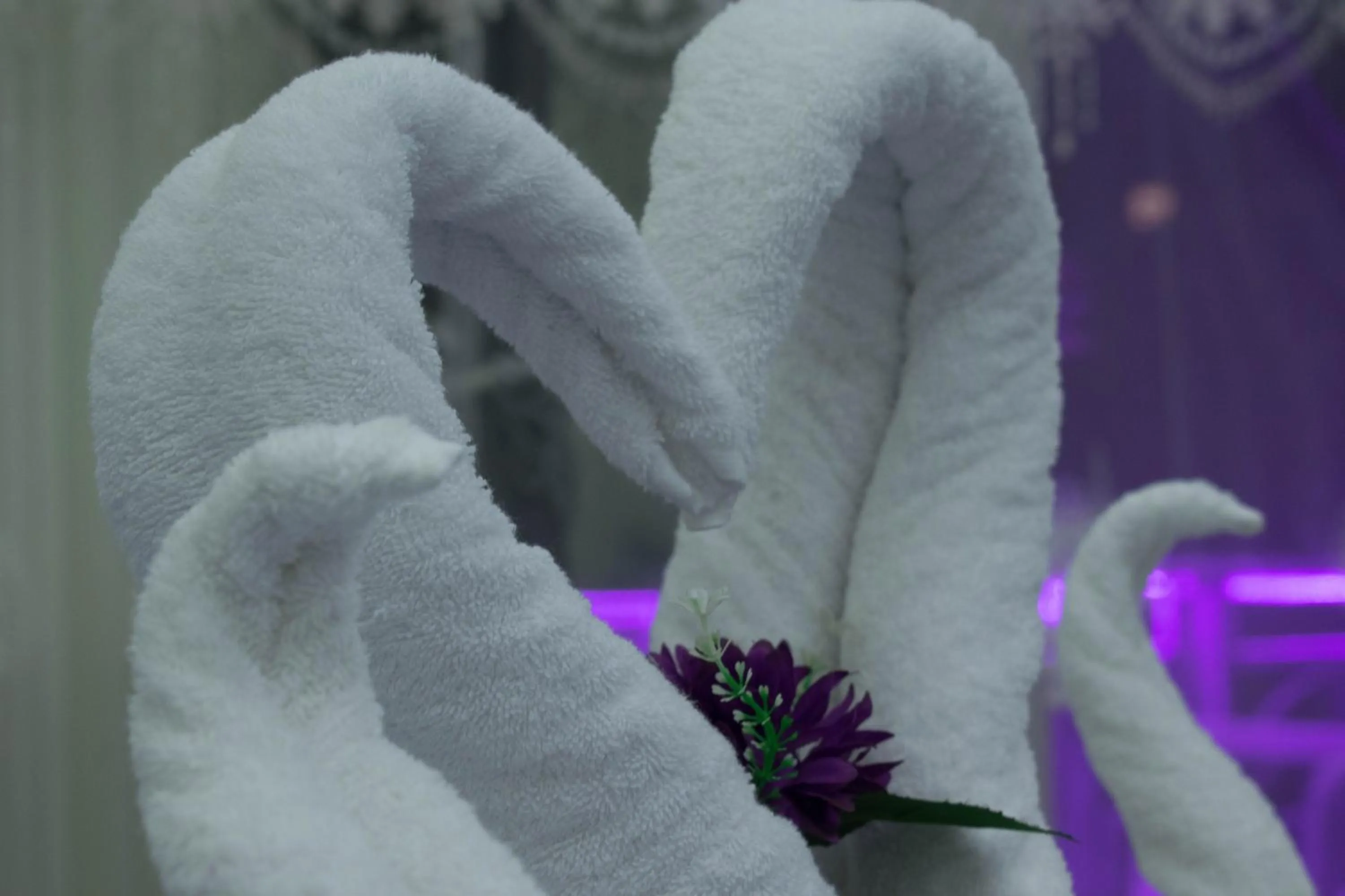 Decorative detail in Crown Hotel