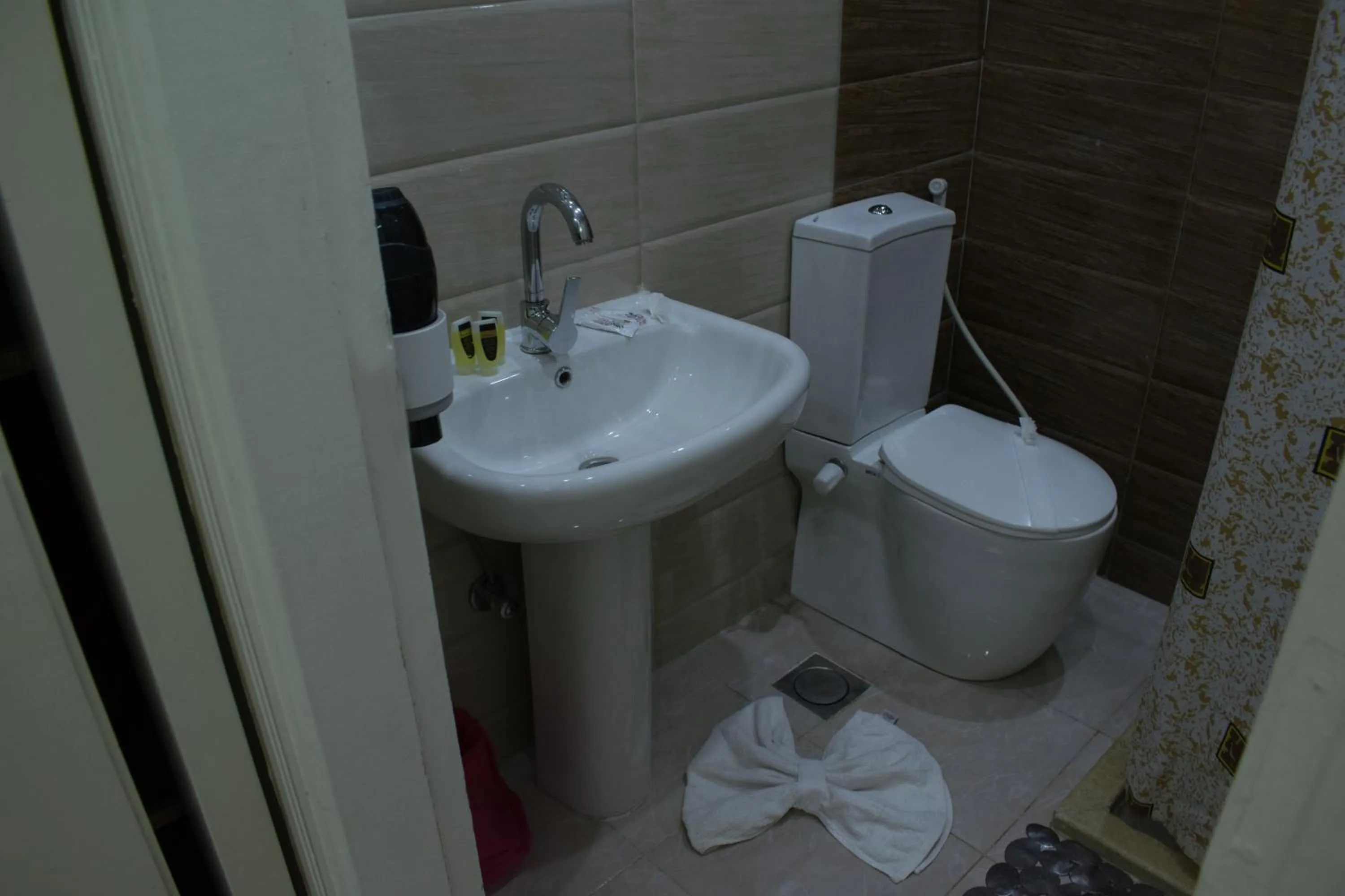 Toilet in Crown Hotel