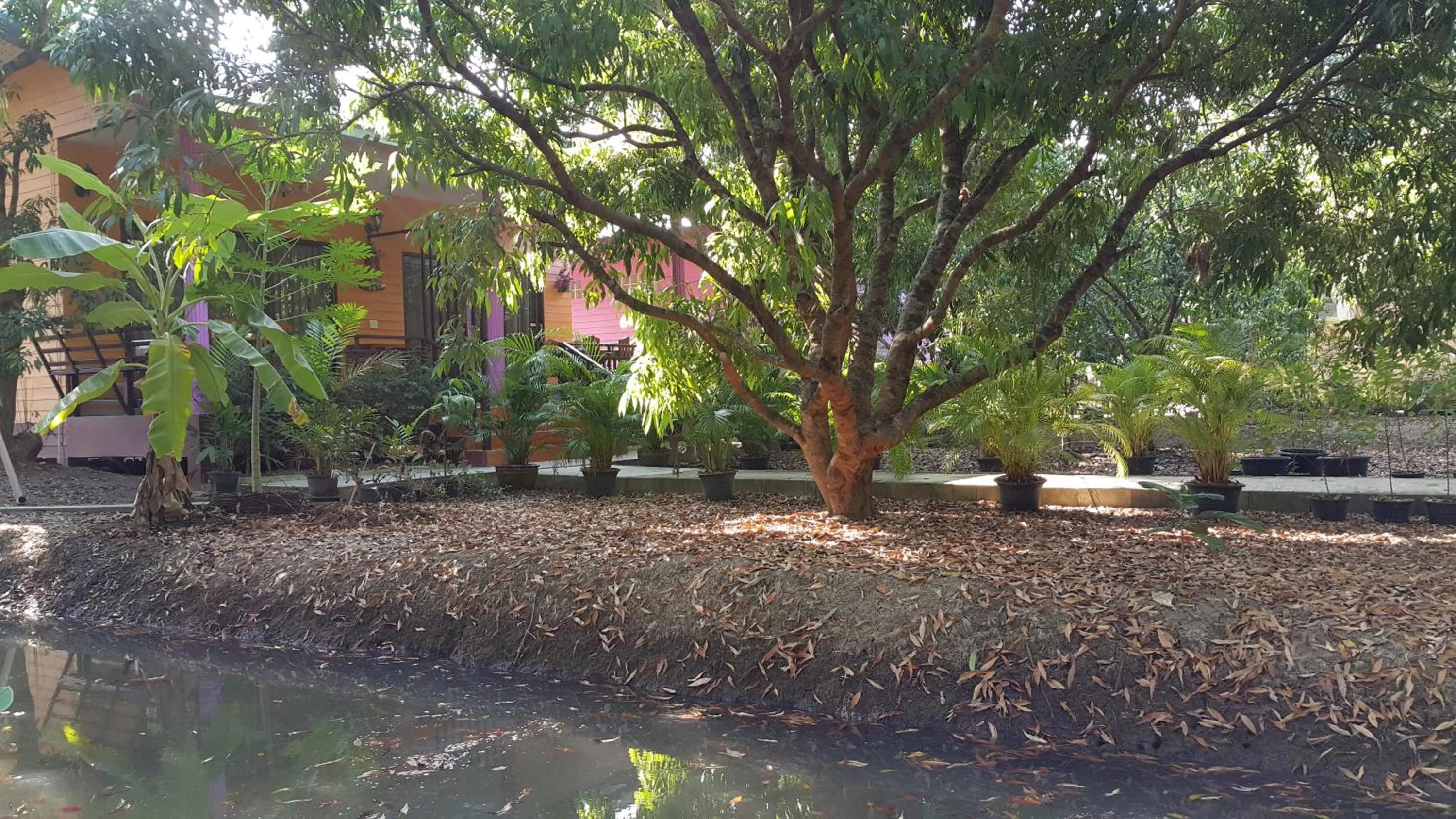 Warakorn Baansuan Amphawa