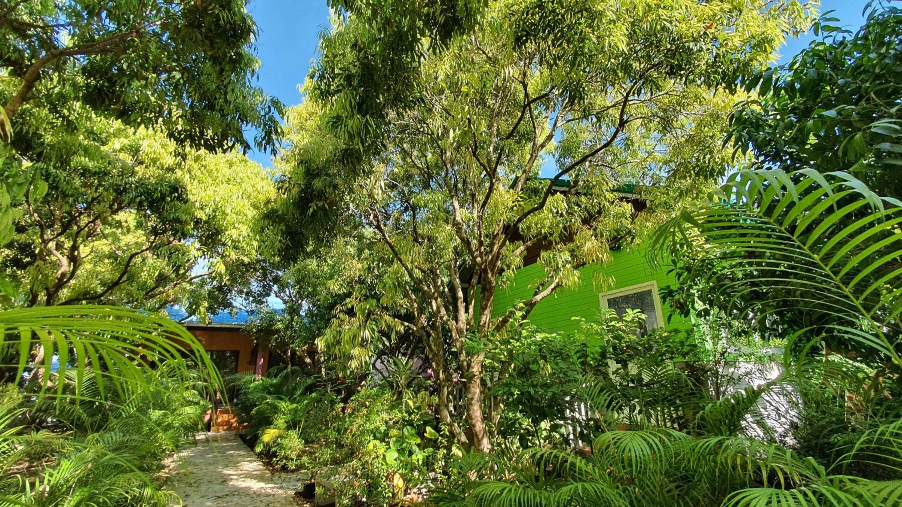 Warakorn Baansuan Amphawa