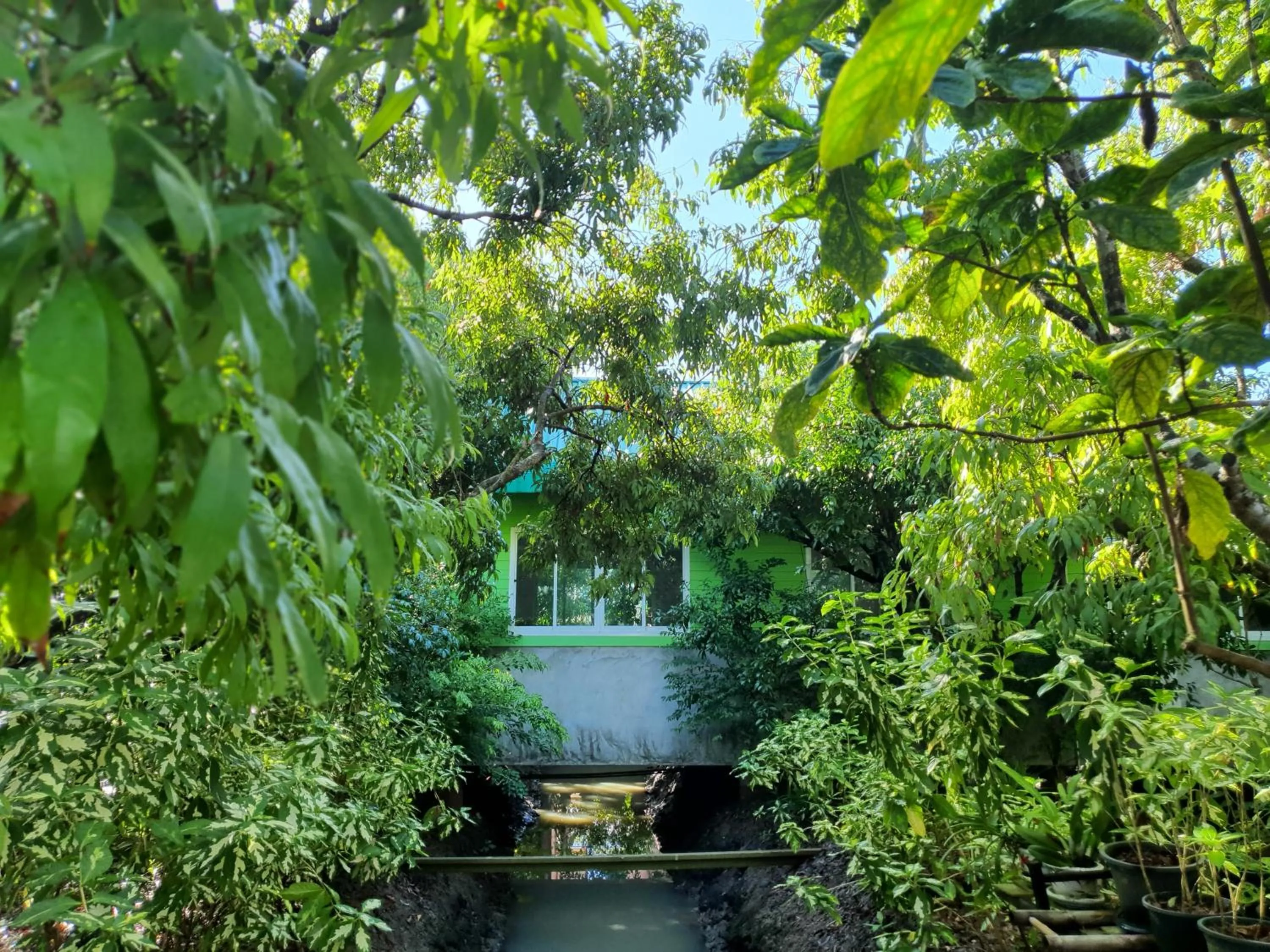 Warakorn Baansuan Amphawa