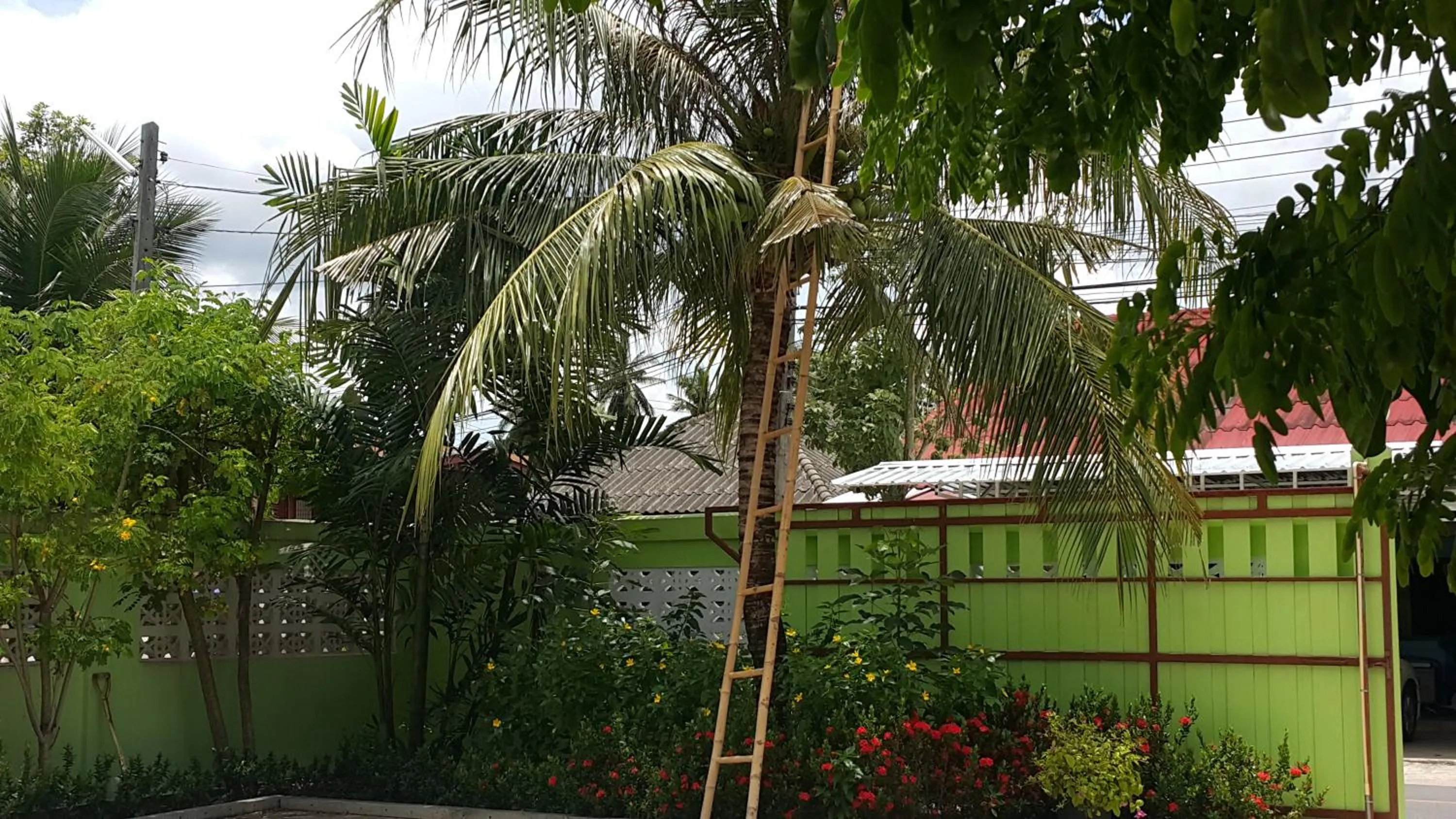 Warakorn Baansuan Amphawa