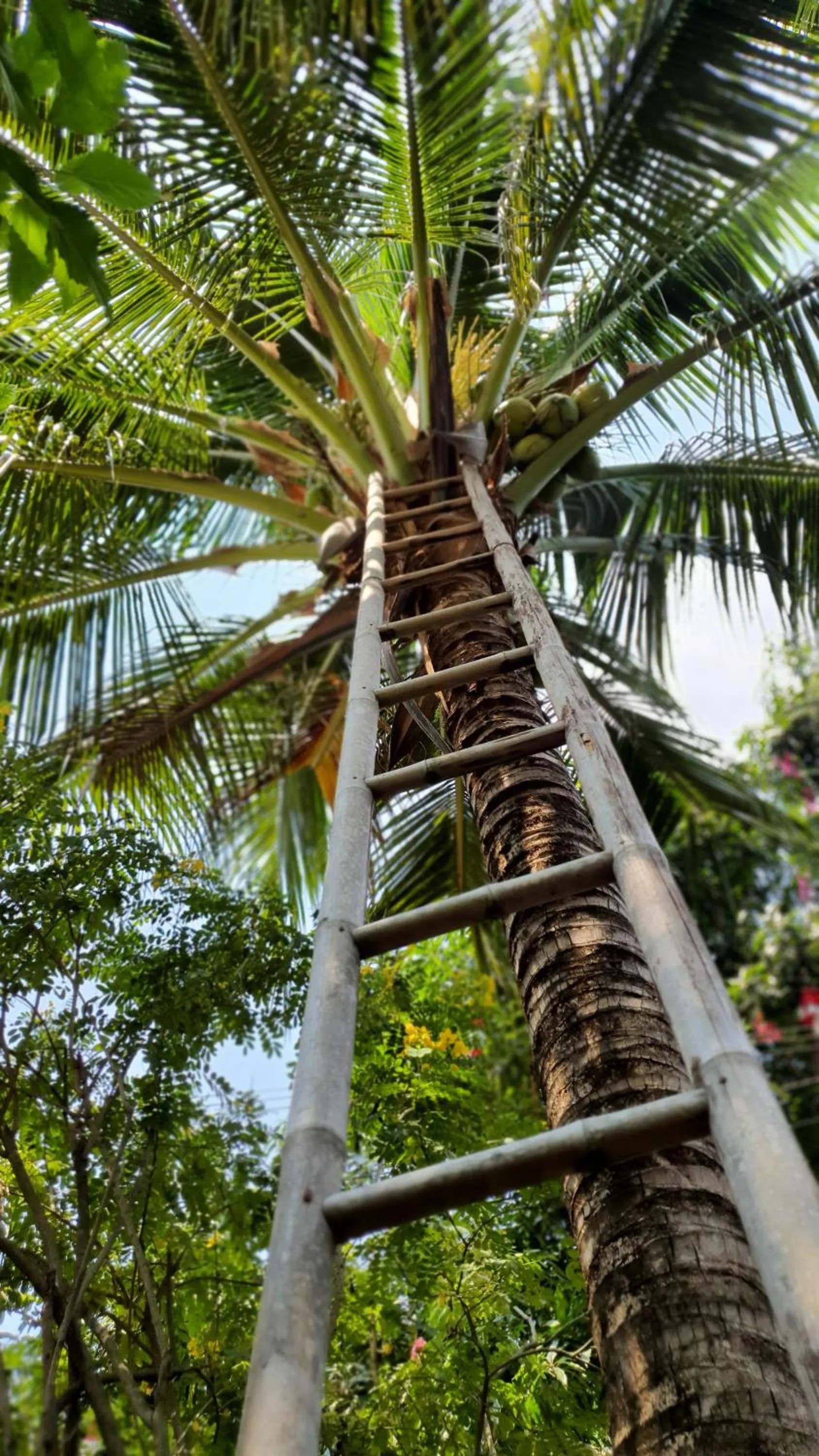 Warakorn Baansuan Amphawa