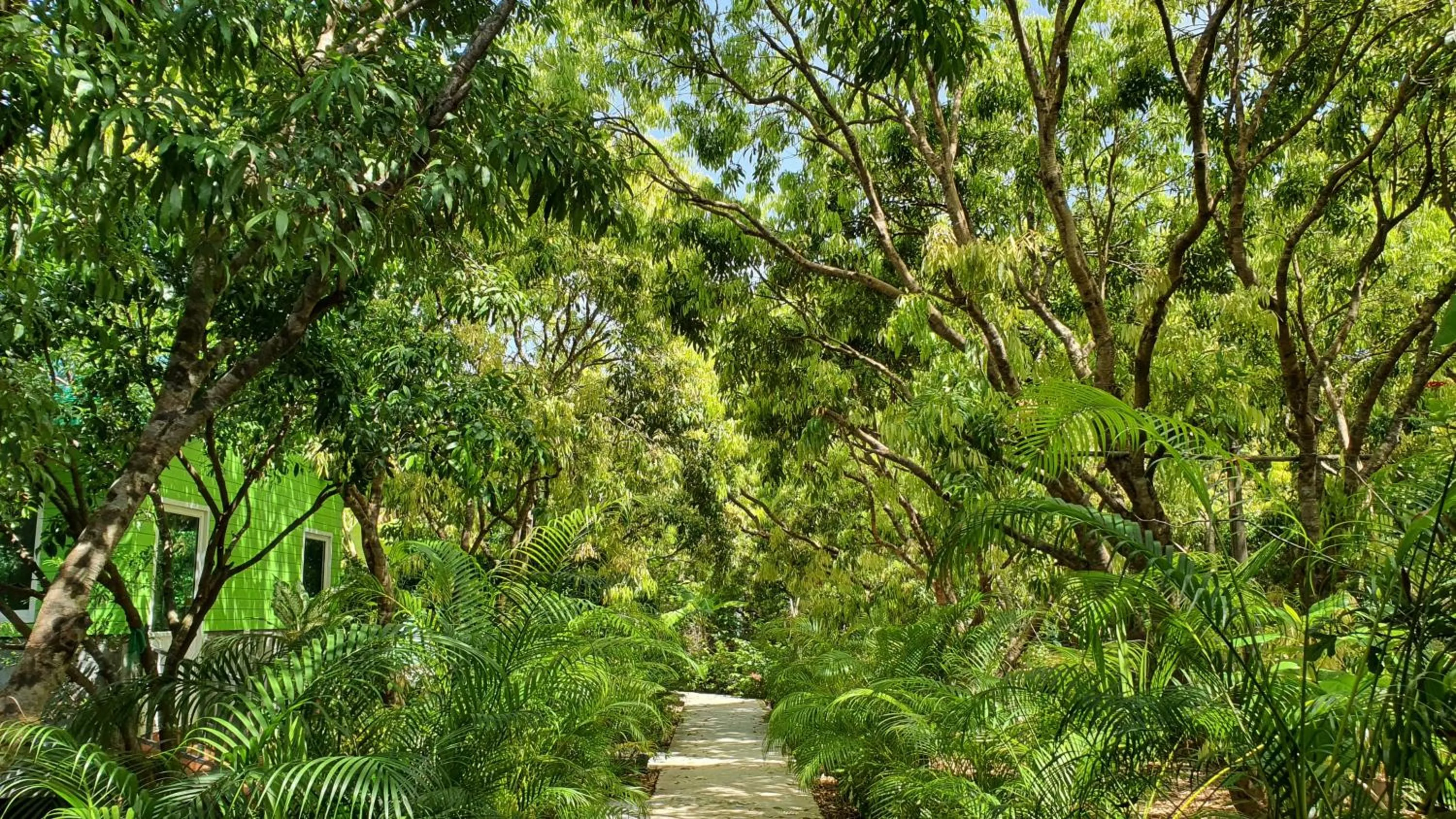 Warakorn Baansuan Amphawa