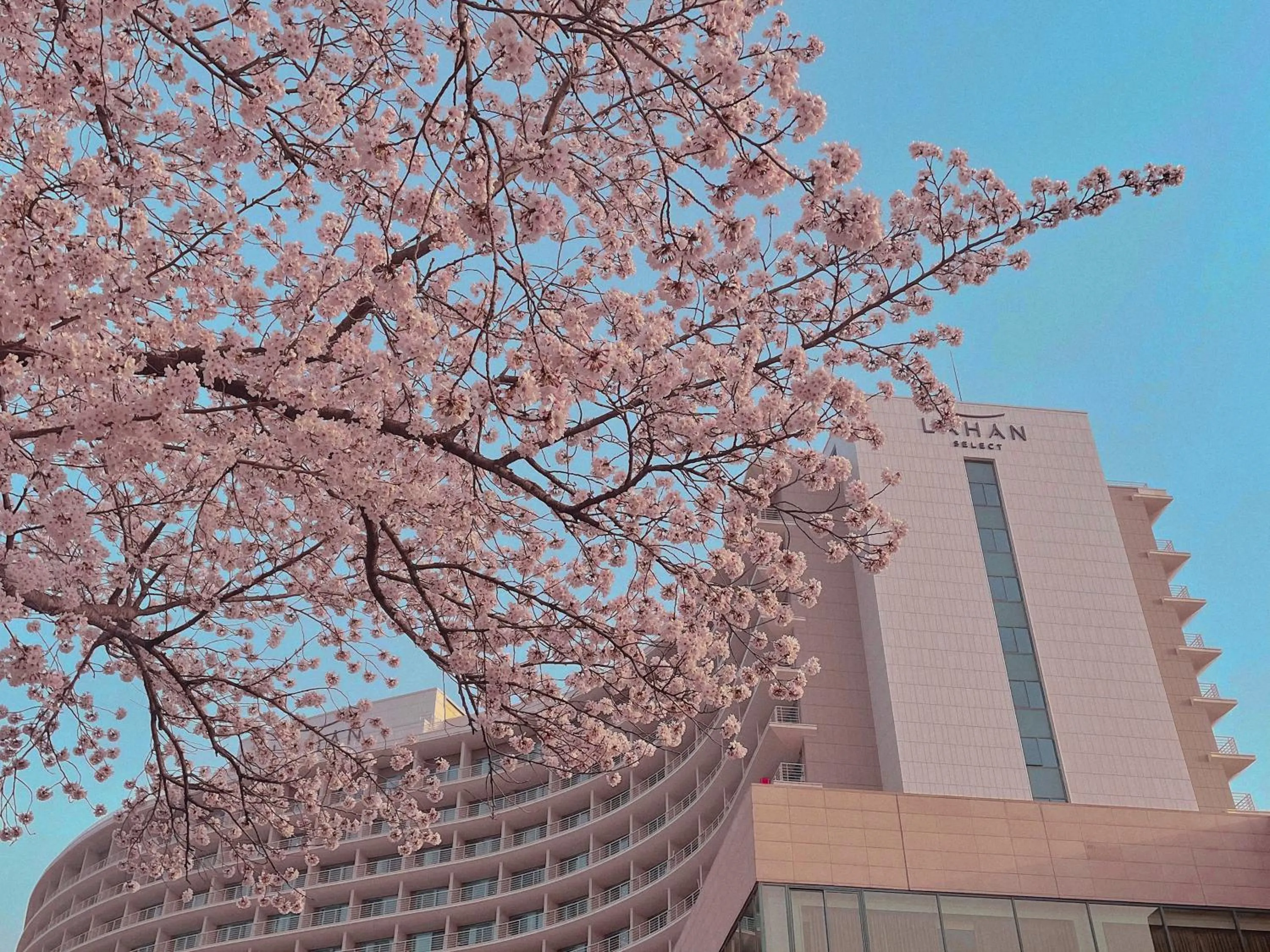 Spring in Lahan Select Gyeongju