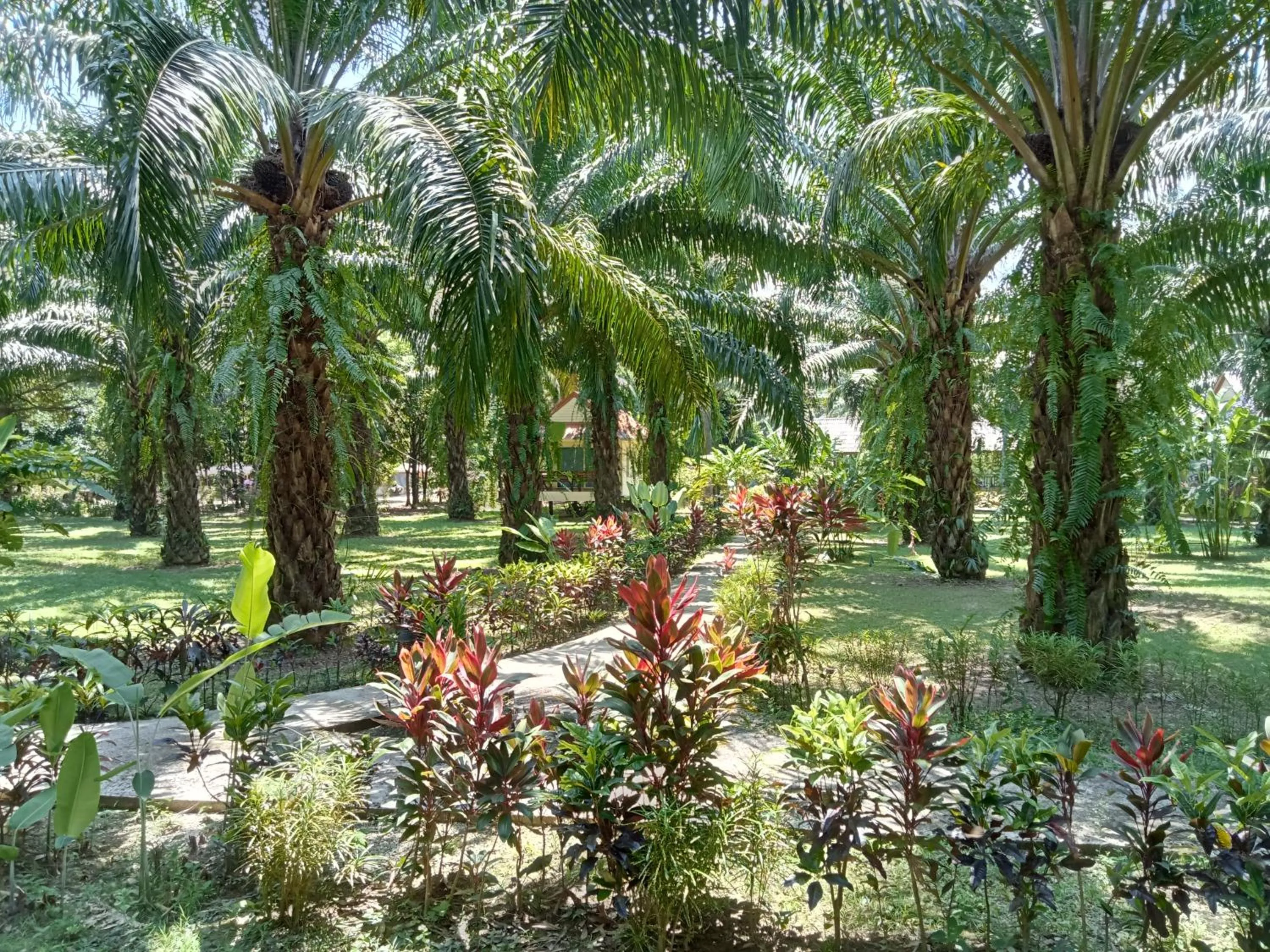 Khao Sok Palm Garden Resort