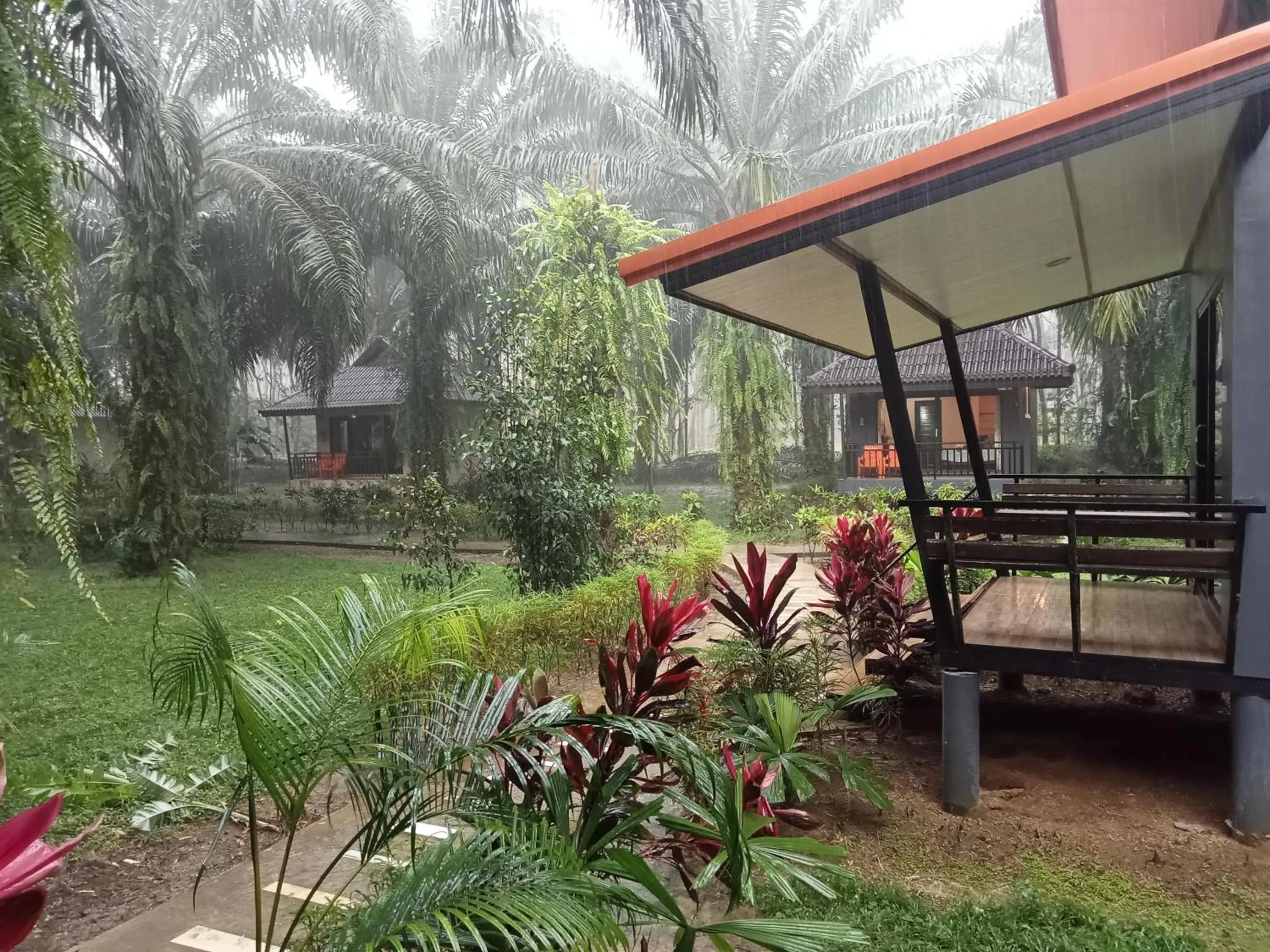 Khao Sok Palm Garden Resort