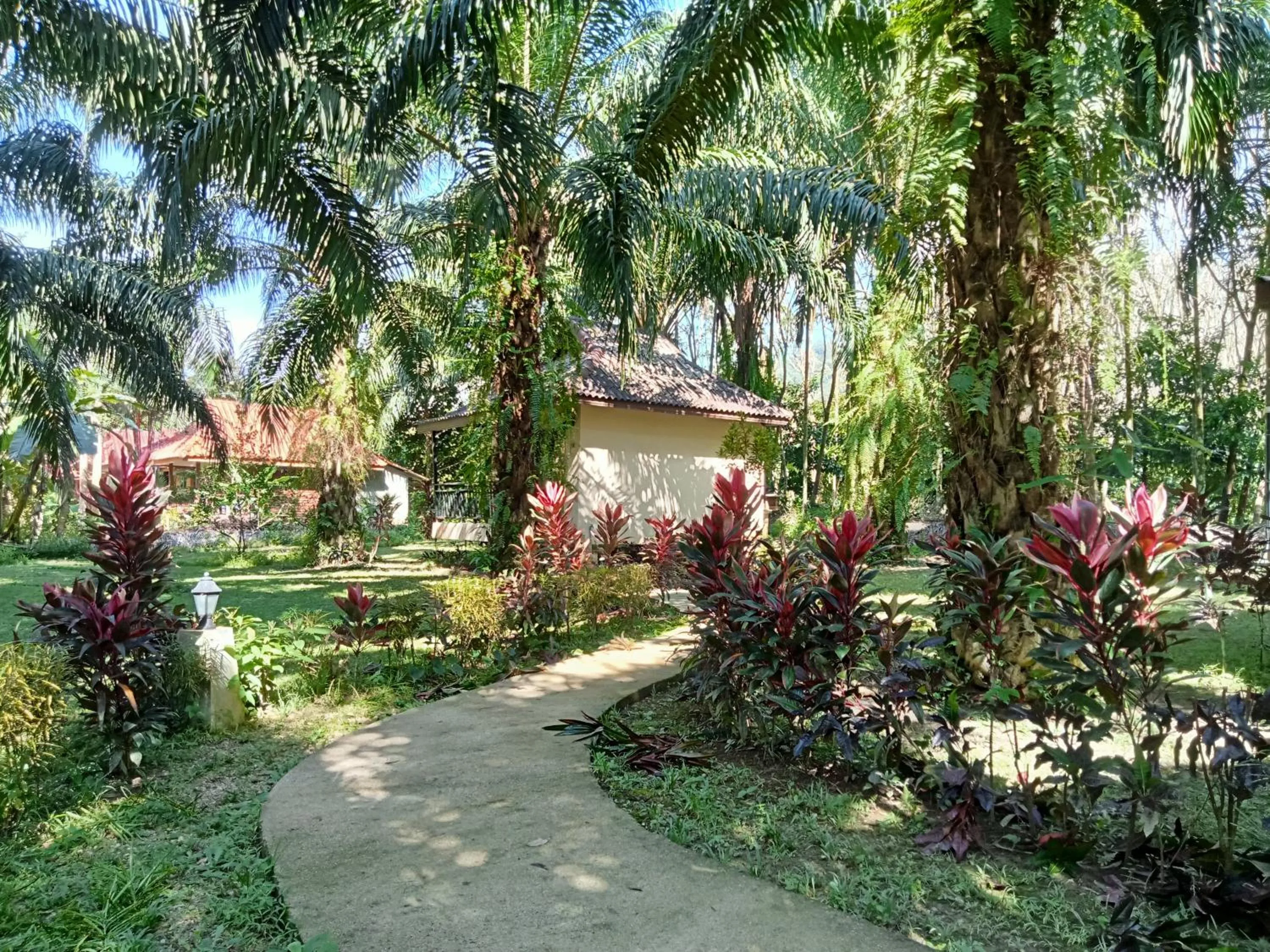 Khao Sok Palm Garden Resort