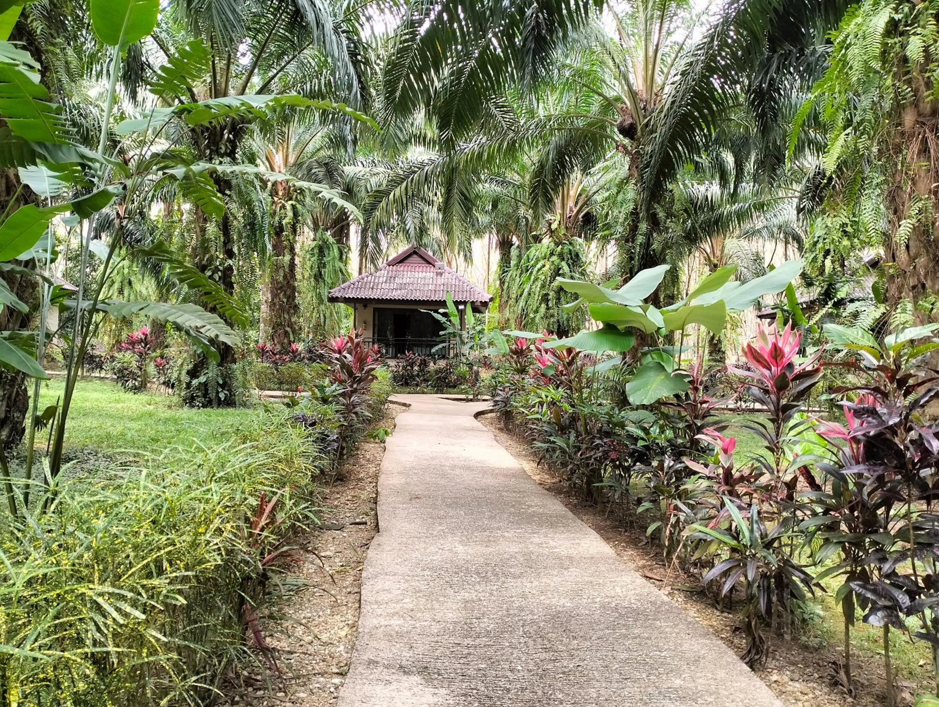 Khao Sok Palm Garden Resort