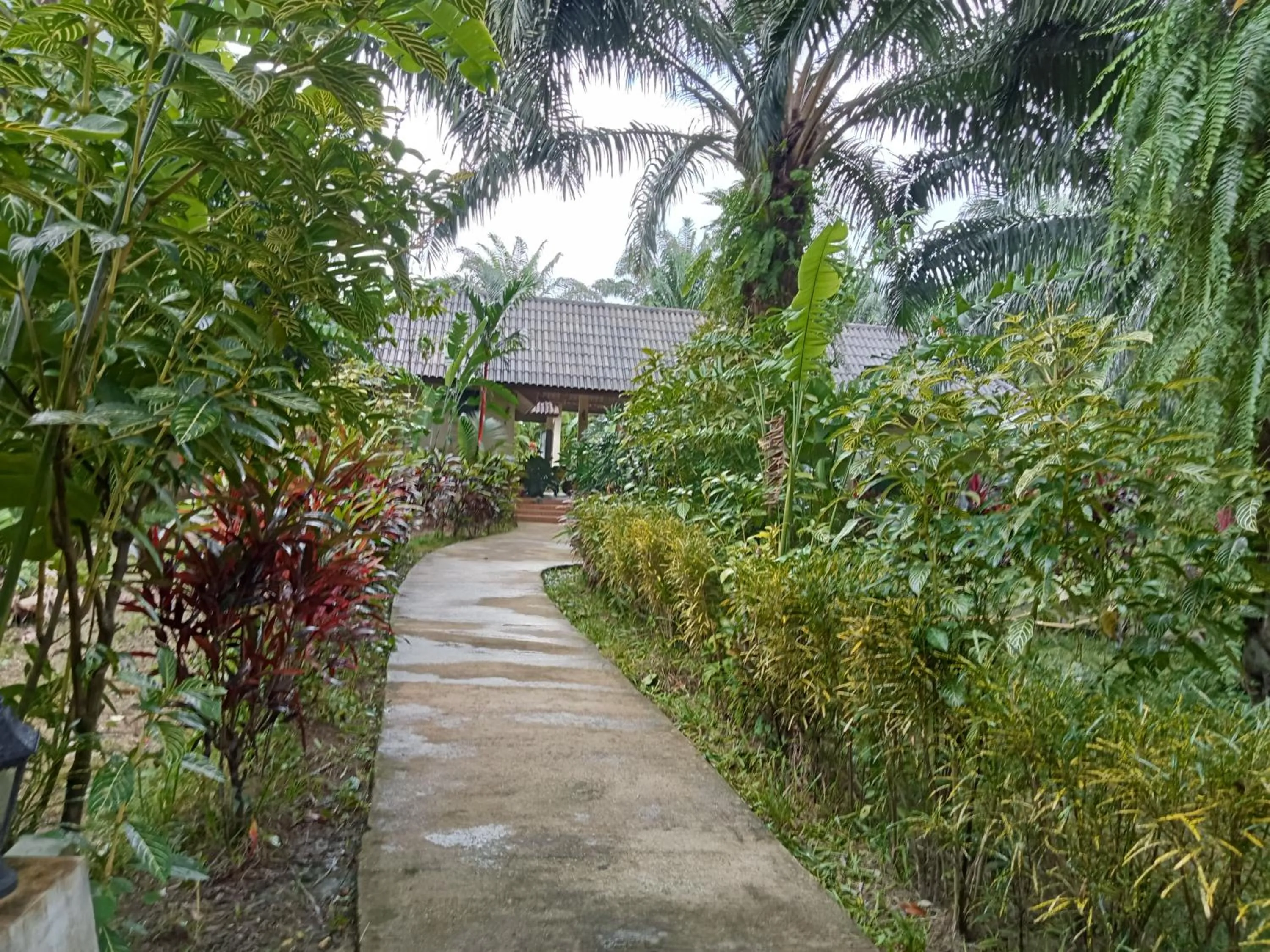 Khao Sok Palm Garden Resort
