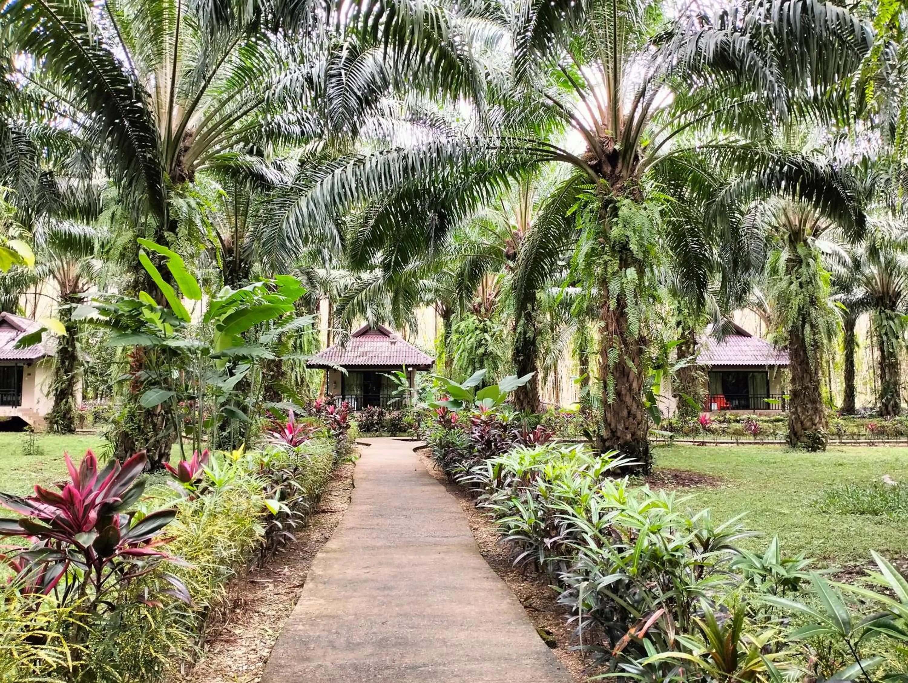 Khao Sok Palm Garden Resort