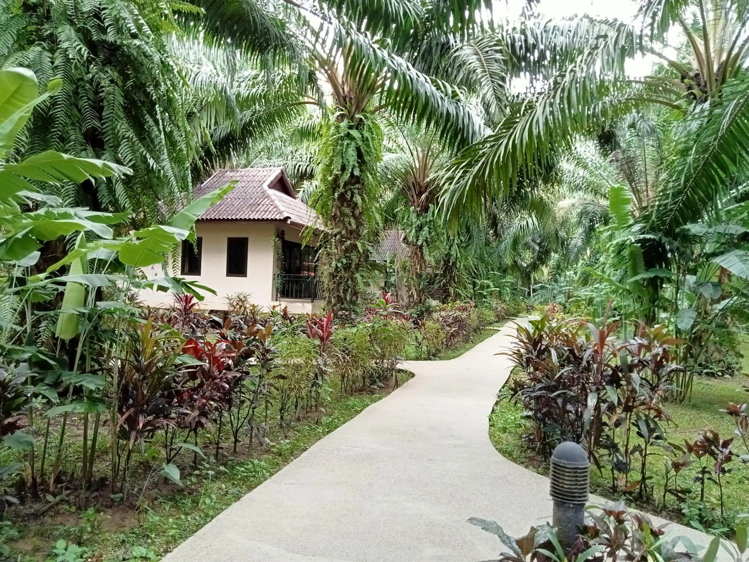 Khao Sok Palm Garden Resort