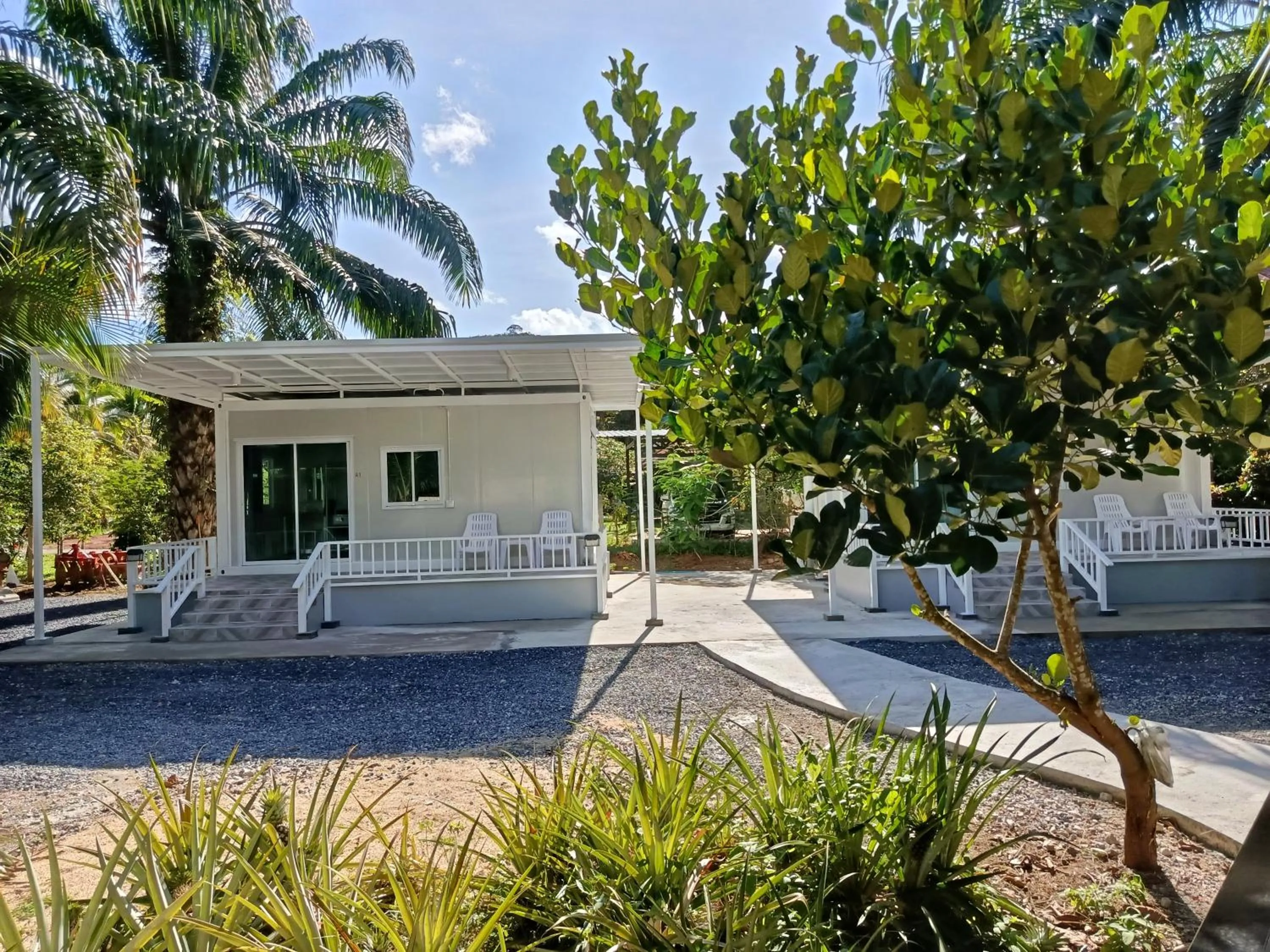 Property building in Khao Sok Palm Garden Resort