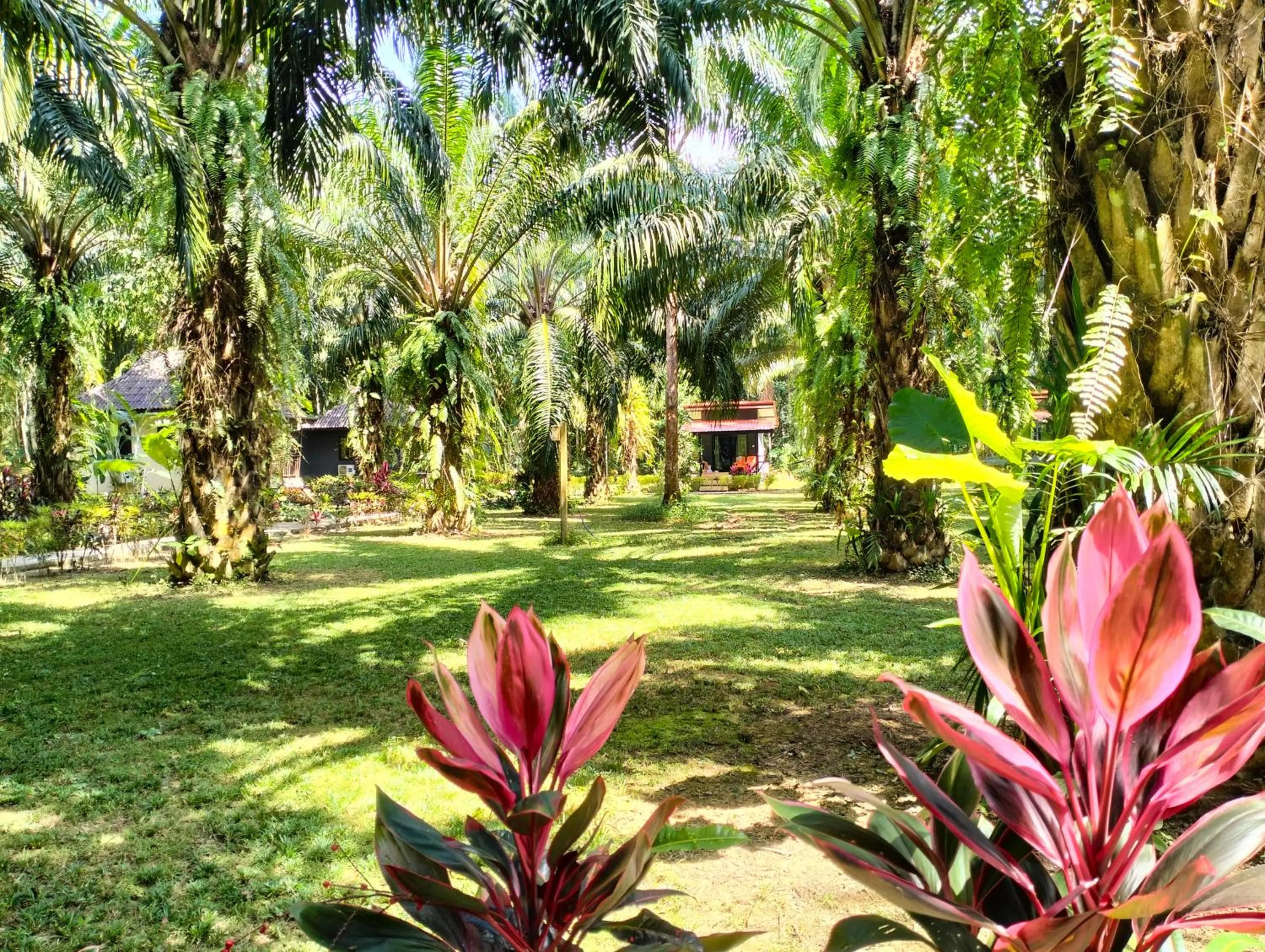 Garden view in Khao Sok Palm Garden Resort