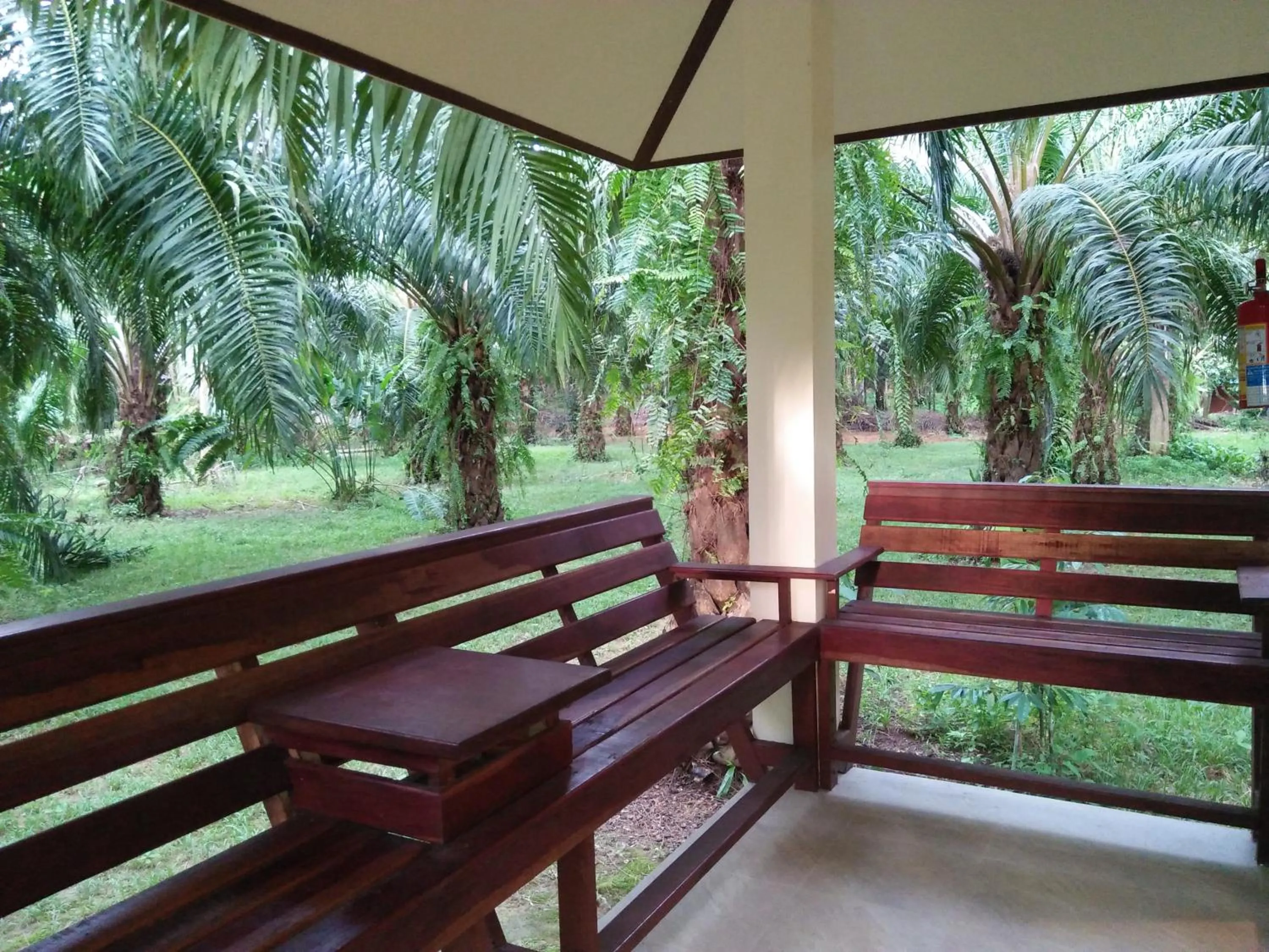 Balcony/Terrace in Khao Sok Palm Garden Resort