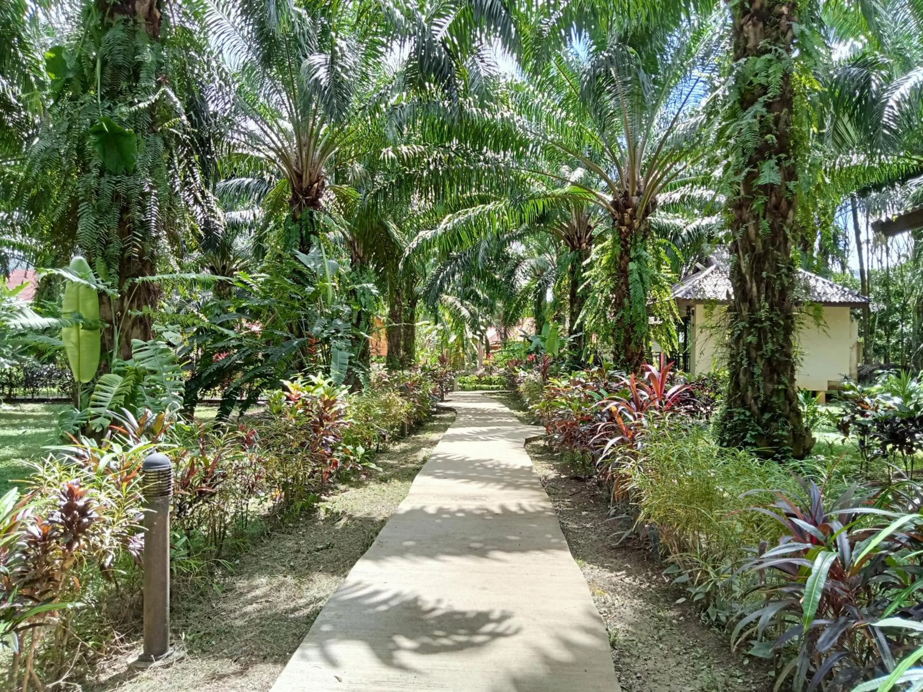 Khao Sok Palm Garden Resort