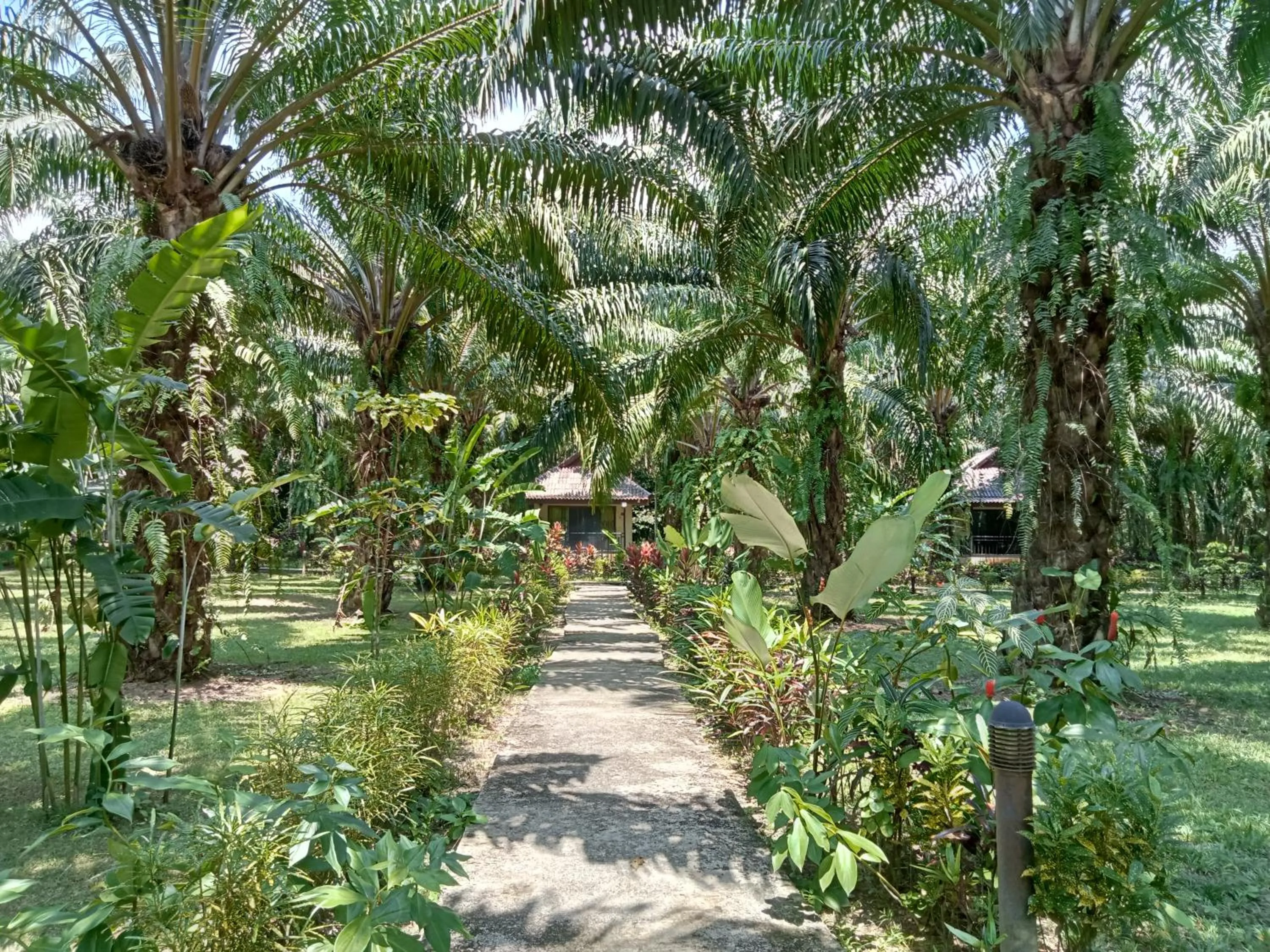 Khao Sok Palm Garden Resort