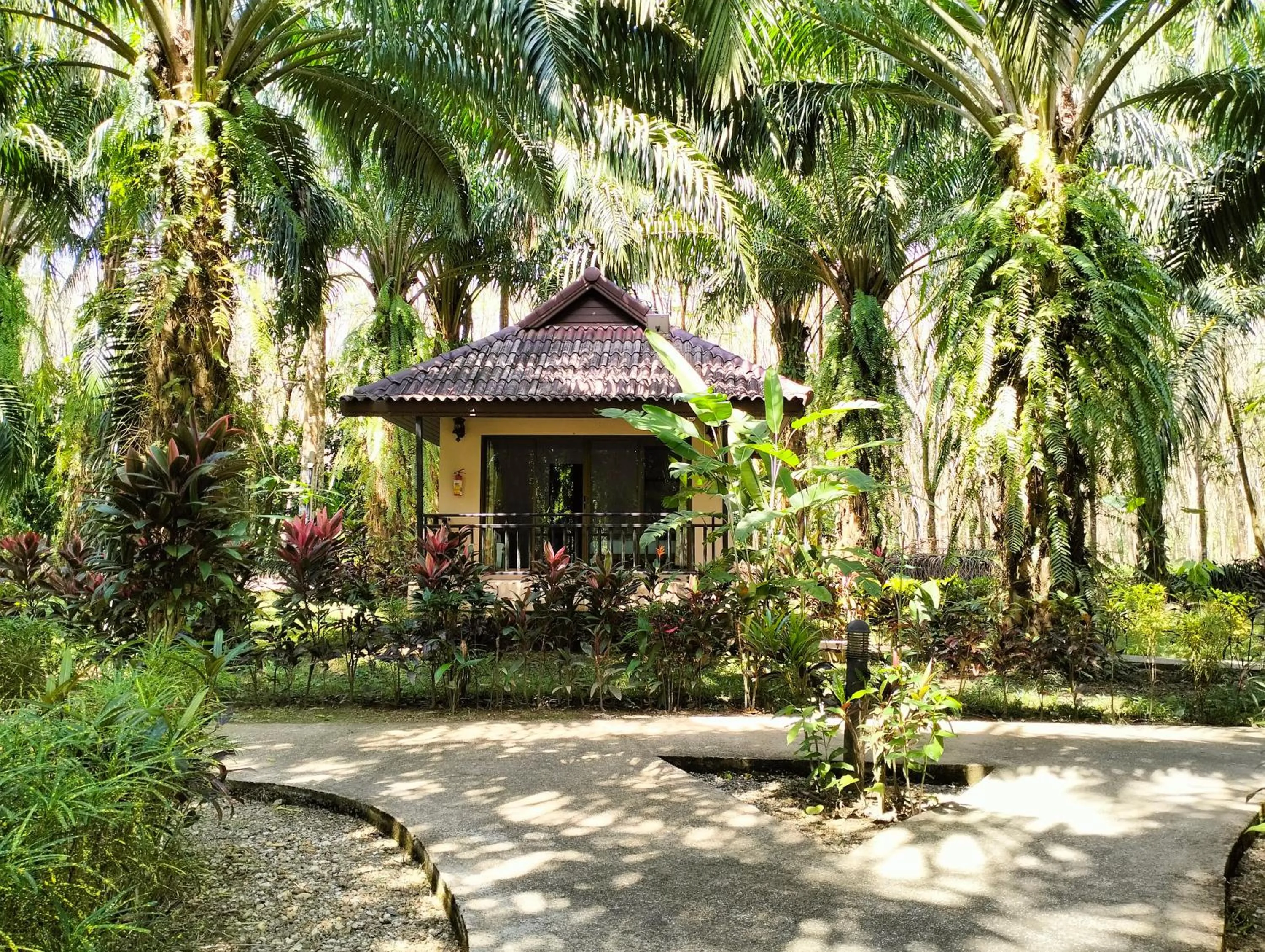 Khao Sok Palm Garden Resort