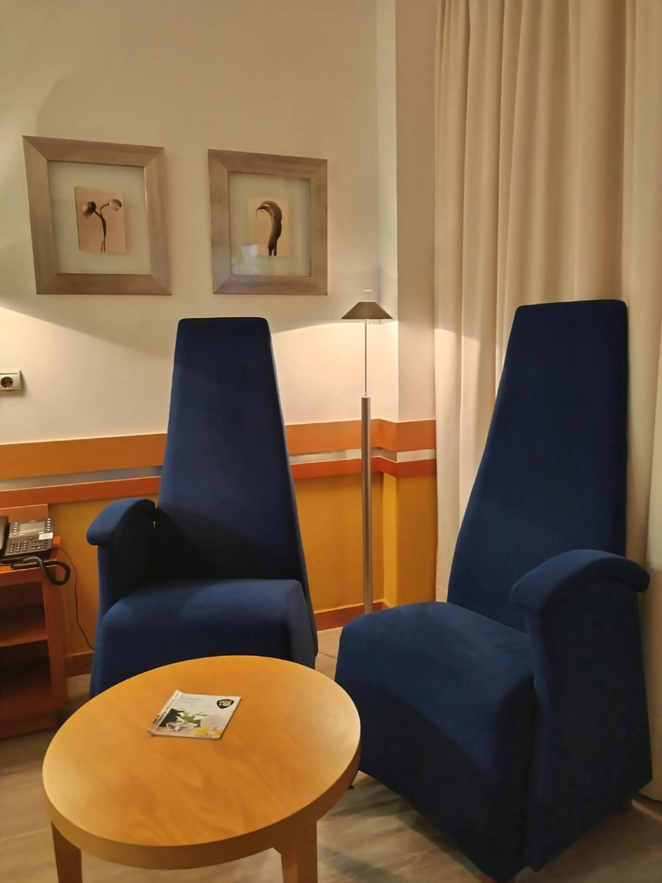 Living room in Hotel Torresport