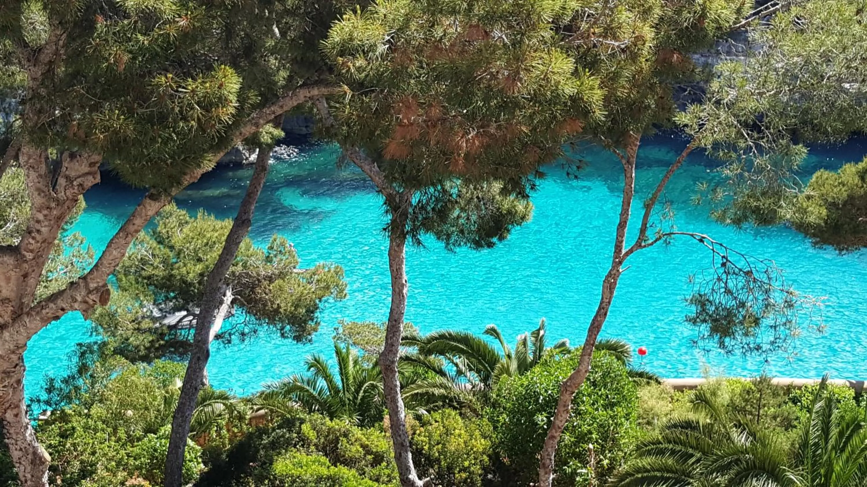 Sea view in Hotel Pinos Playa